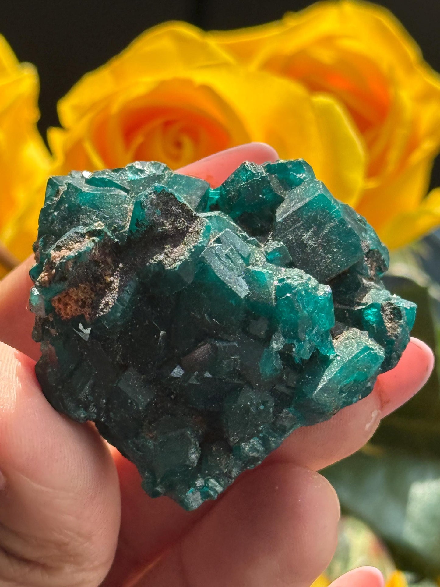 Dioptase, Natural Raw Dioptase, Dioptase from Republic of the Congo, Fossils and Minerals,