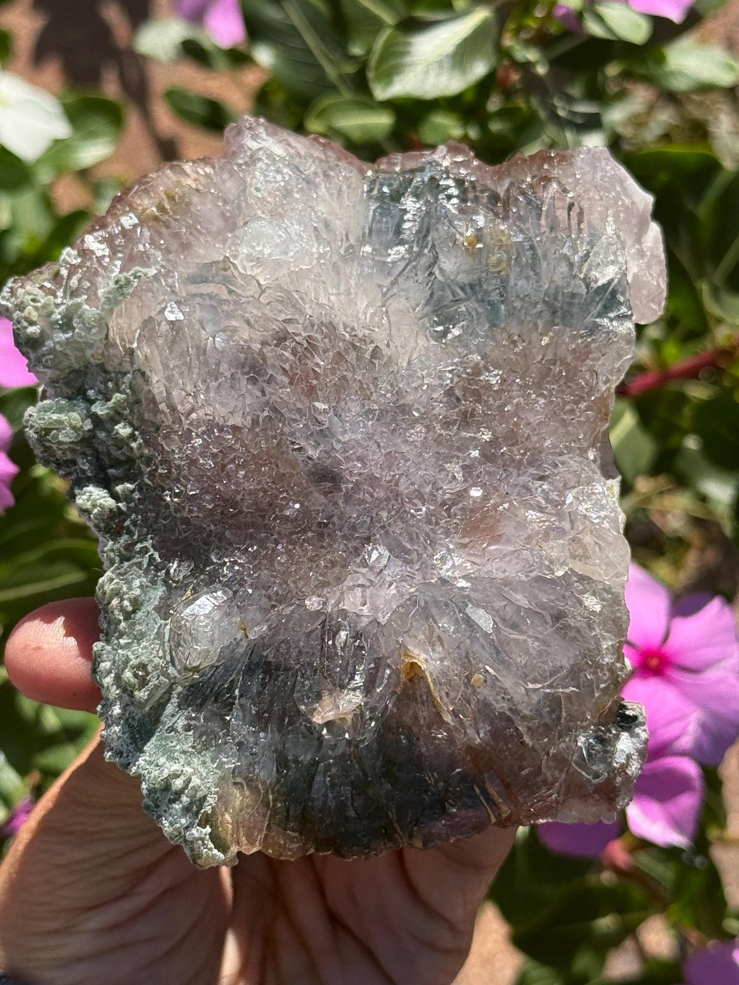 Flower Amethyst Zeolight - Amethyst Geode Cluster from Brazil