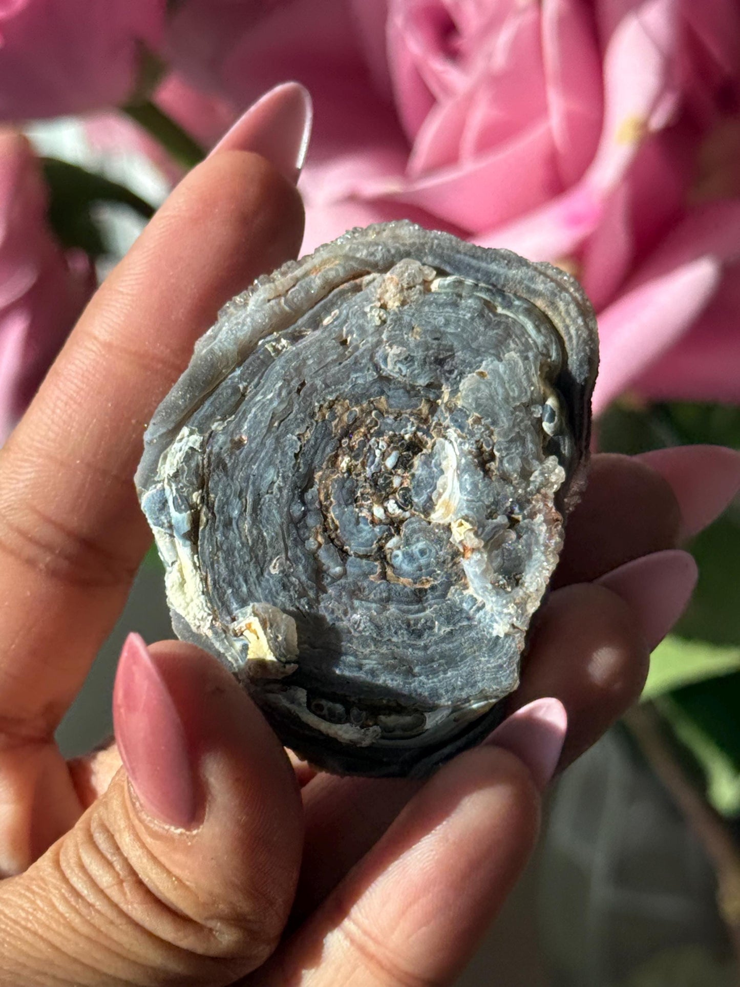 Druzy Chalcedony, Galaxy Chalcedony, Druzy Chalcedony Specimen, Natural Raw Chalcedony, Raw Blue chalcedony, Fossils, Crystal Gifts,