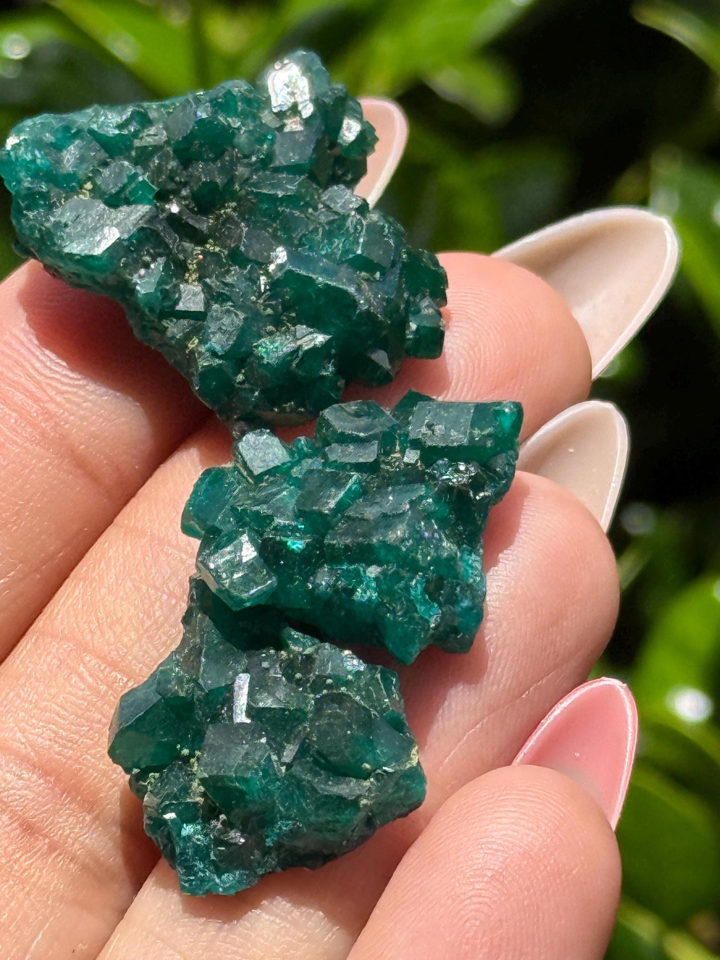 Dioptase Crystal Lot, Natural Raw Dioptase, Dioptase from Republic of the Congo, Crystal Wholesale