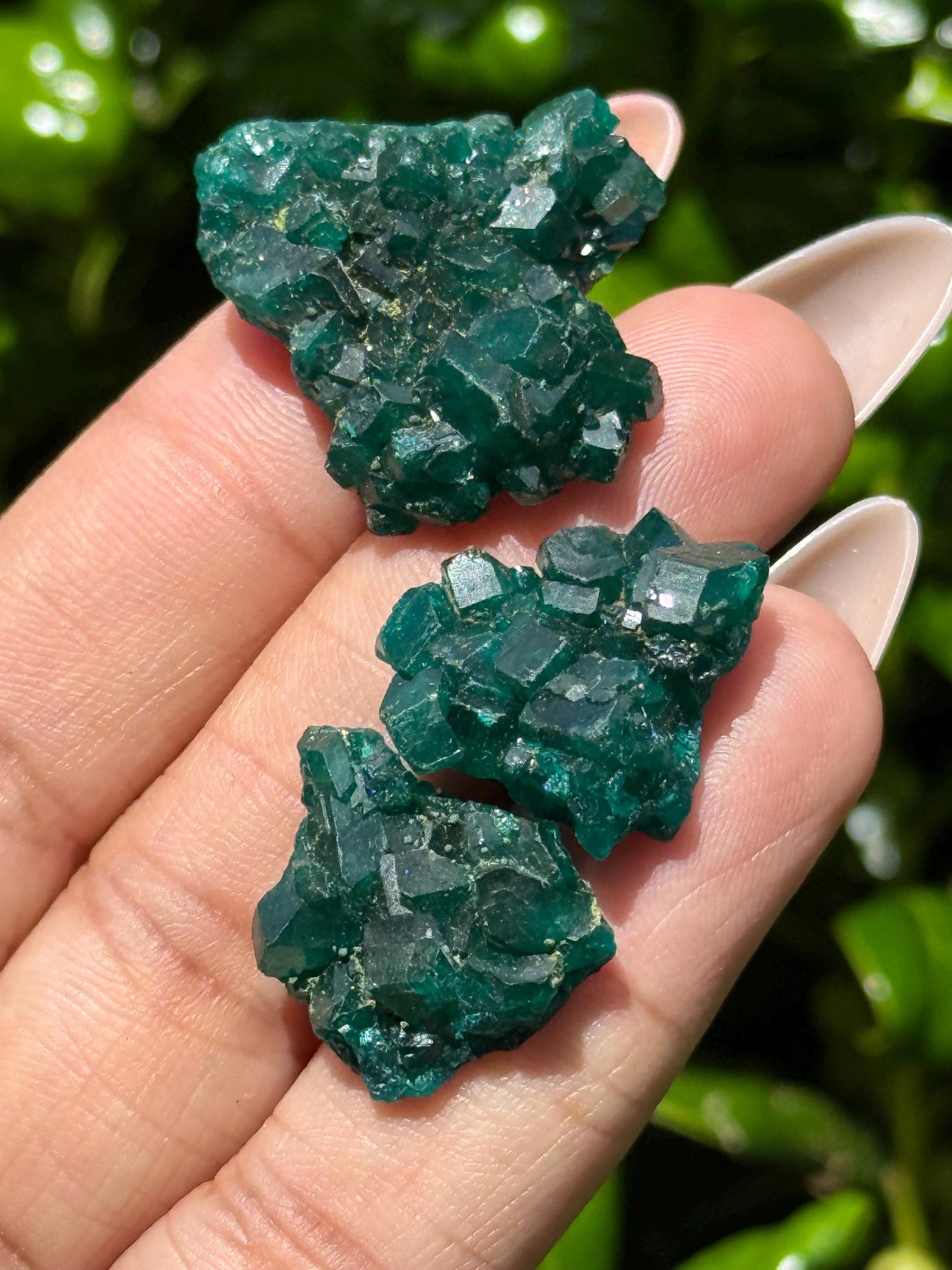 Dioptase Crystal Lot, Natural Raw Dioptase, Dioptase from Republic of the Congo, Crystal Wholesale
