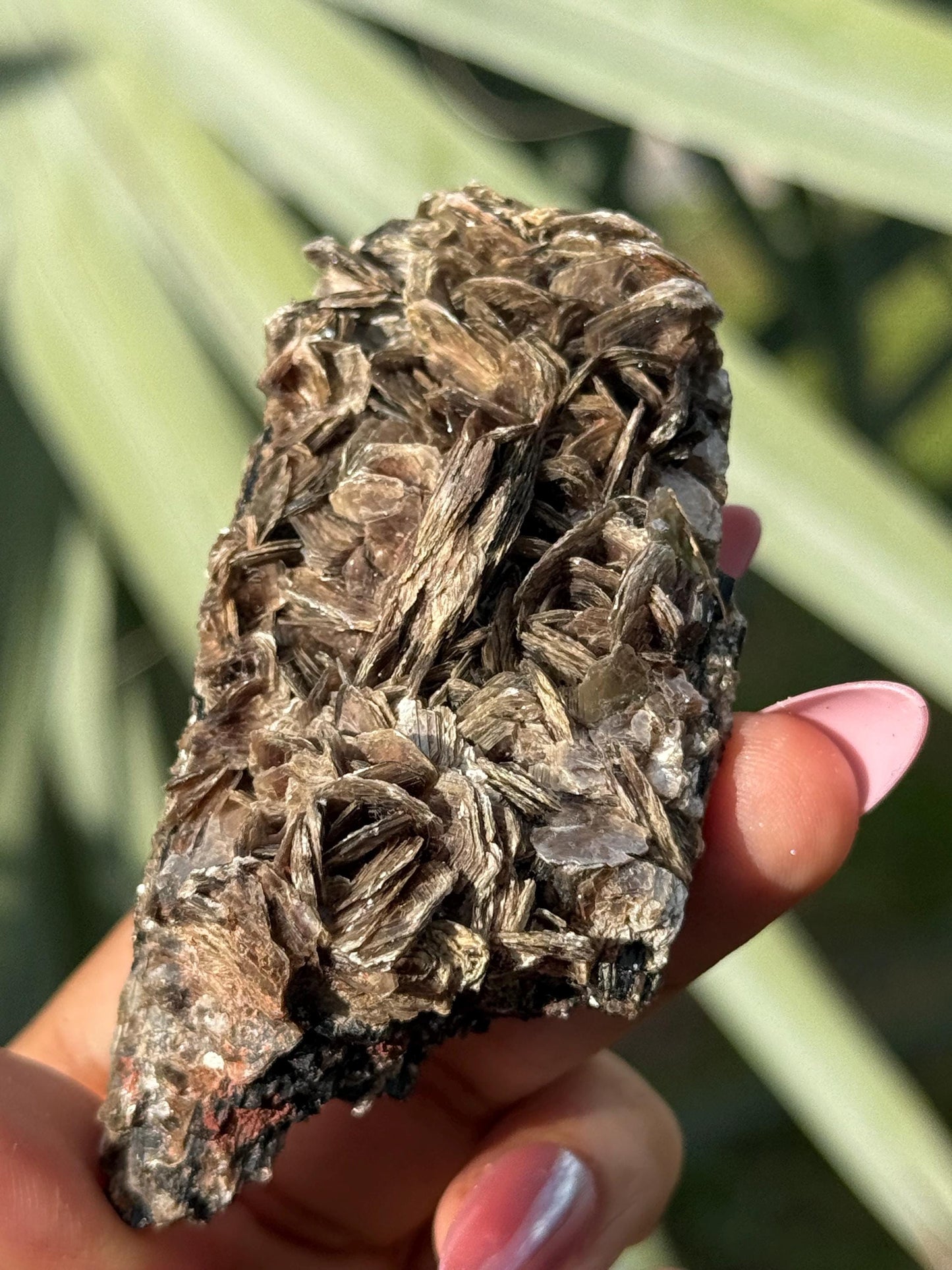 Black Tourmaline with Mica, Raw Black Tourmaline, Tourmaline mineral, Raw Crystal Specimen, Crystal Gifts, Home Decor