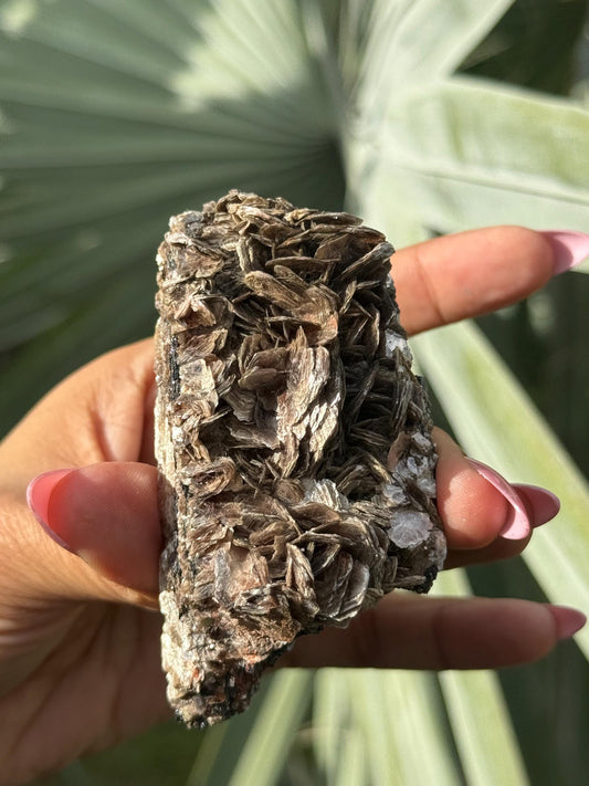 Black Tourmaline with Mica, Raw Black Tourmaline, Tourmaline mineral, Raw Crystal Specimen, Crystal Gifts, Home Decor