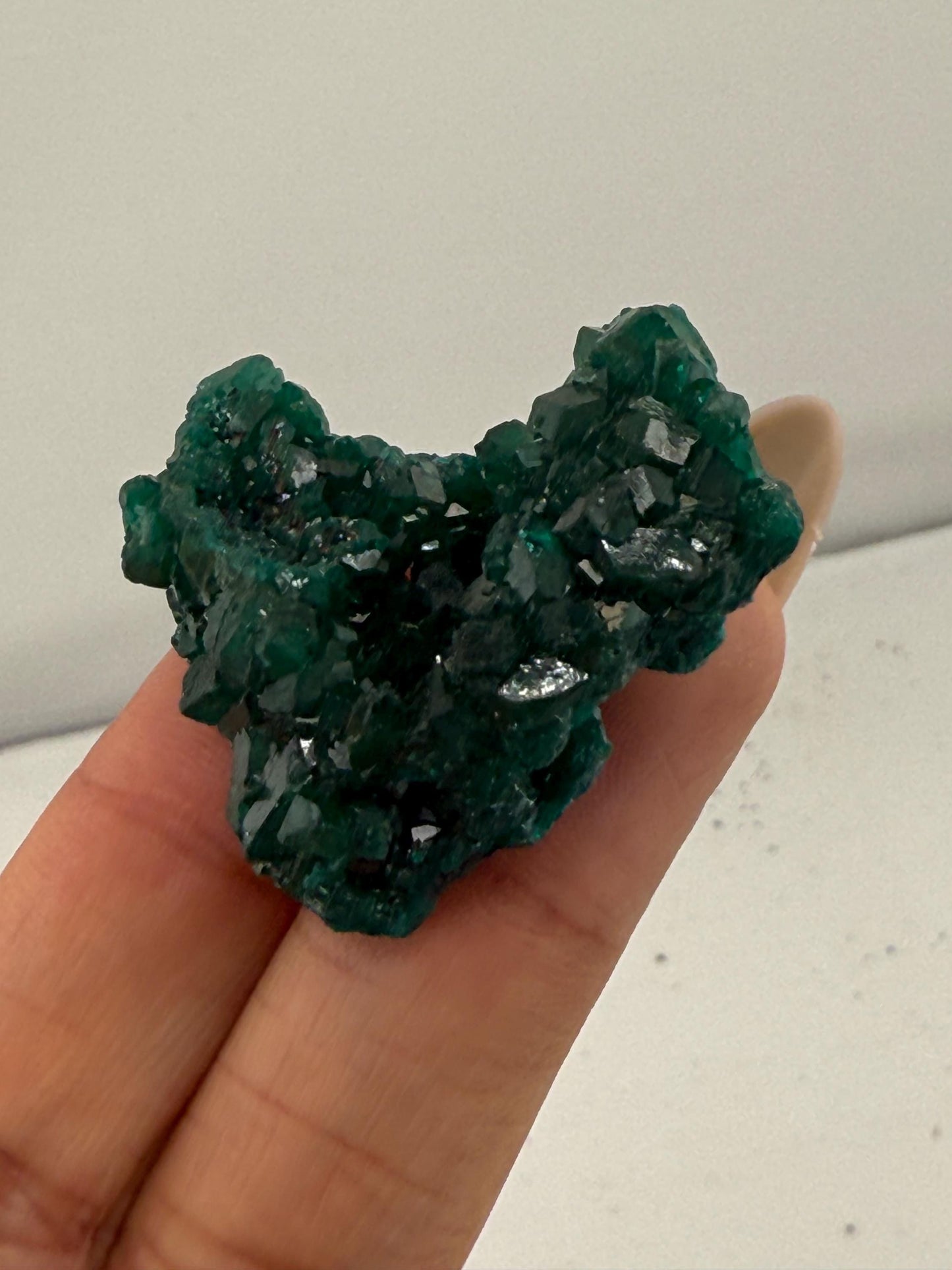 Dioptase, Natural Raw Dioptase, Dioptase from Republic of the Congo, Fossils and Minerals,