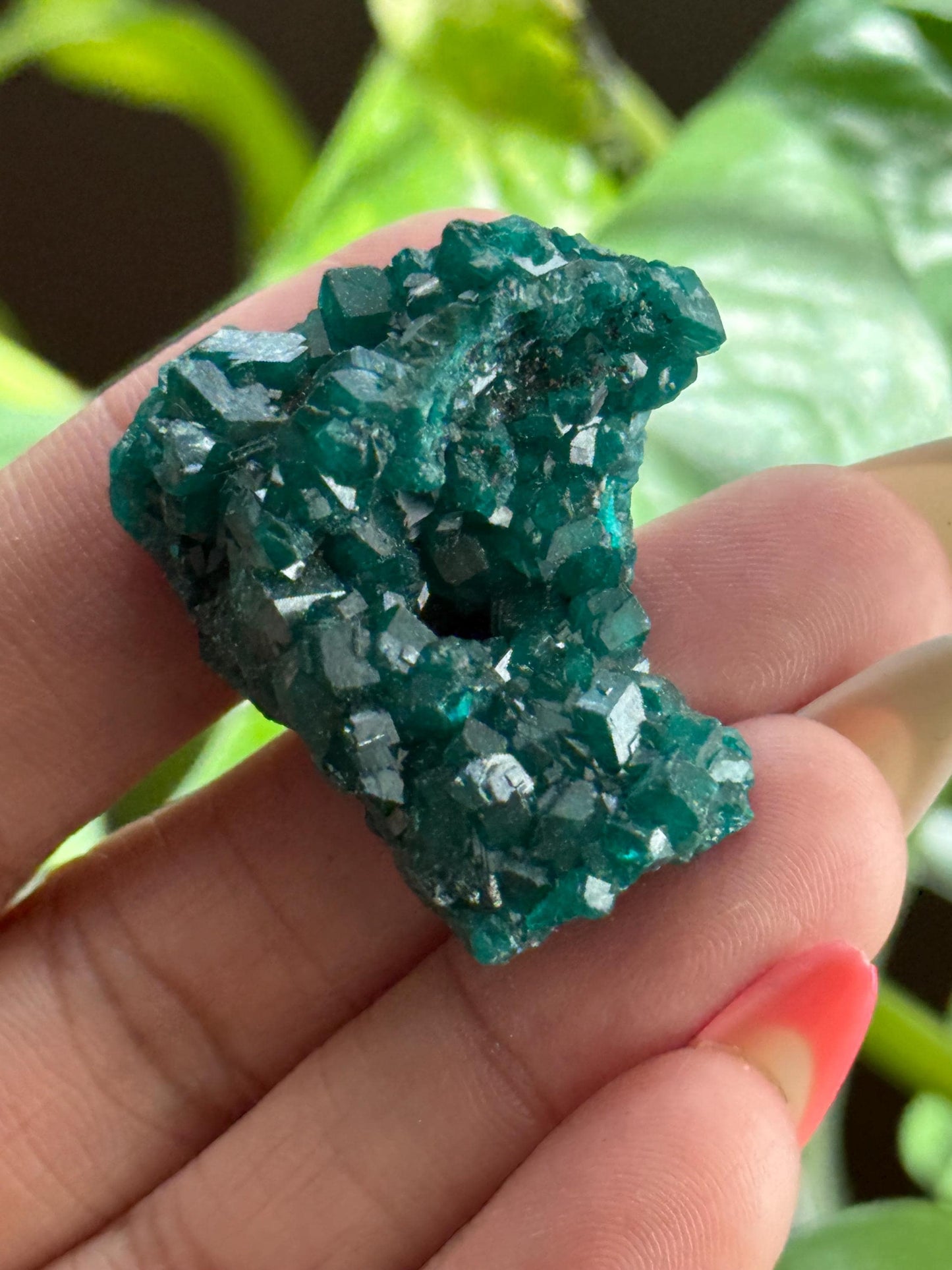 Dioptase, Natural Raw Dioptase, Dioptase from Republic of the Congo, Fossils and Minerals,