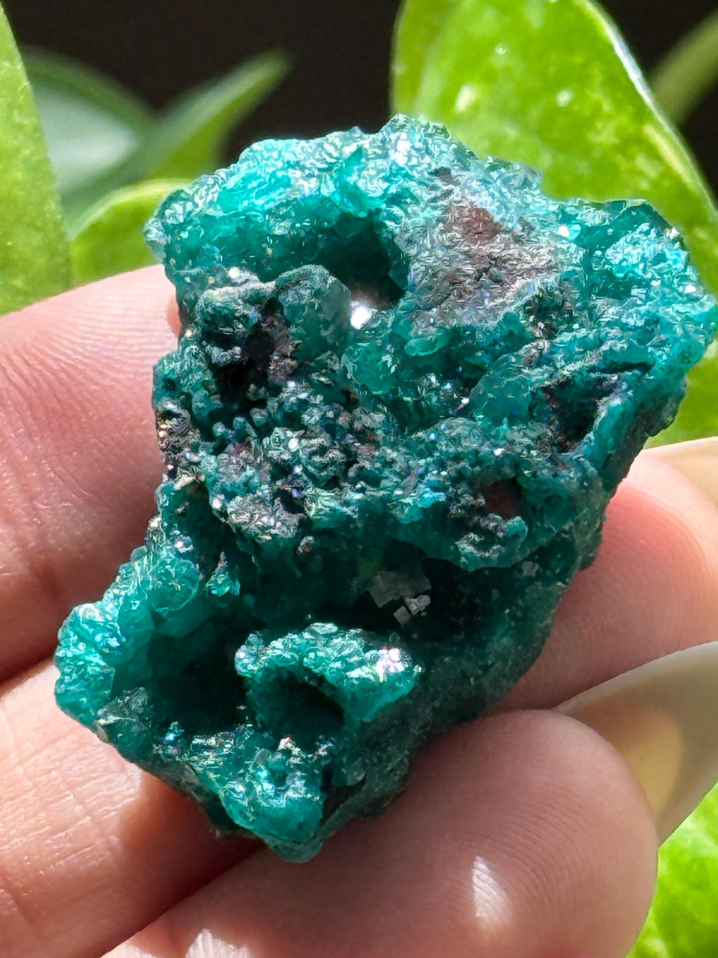 Dioptase, Natural Raw Dioptase, Dioptase from Republic of the Congo, Fossils and Minerals,