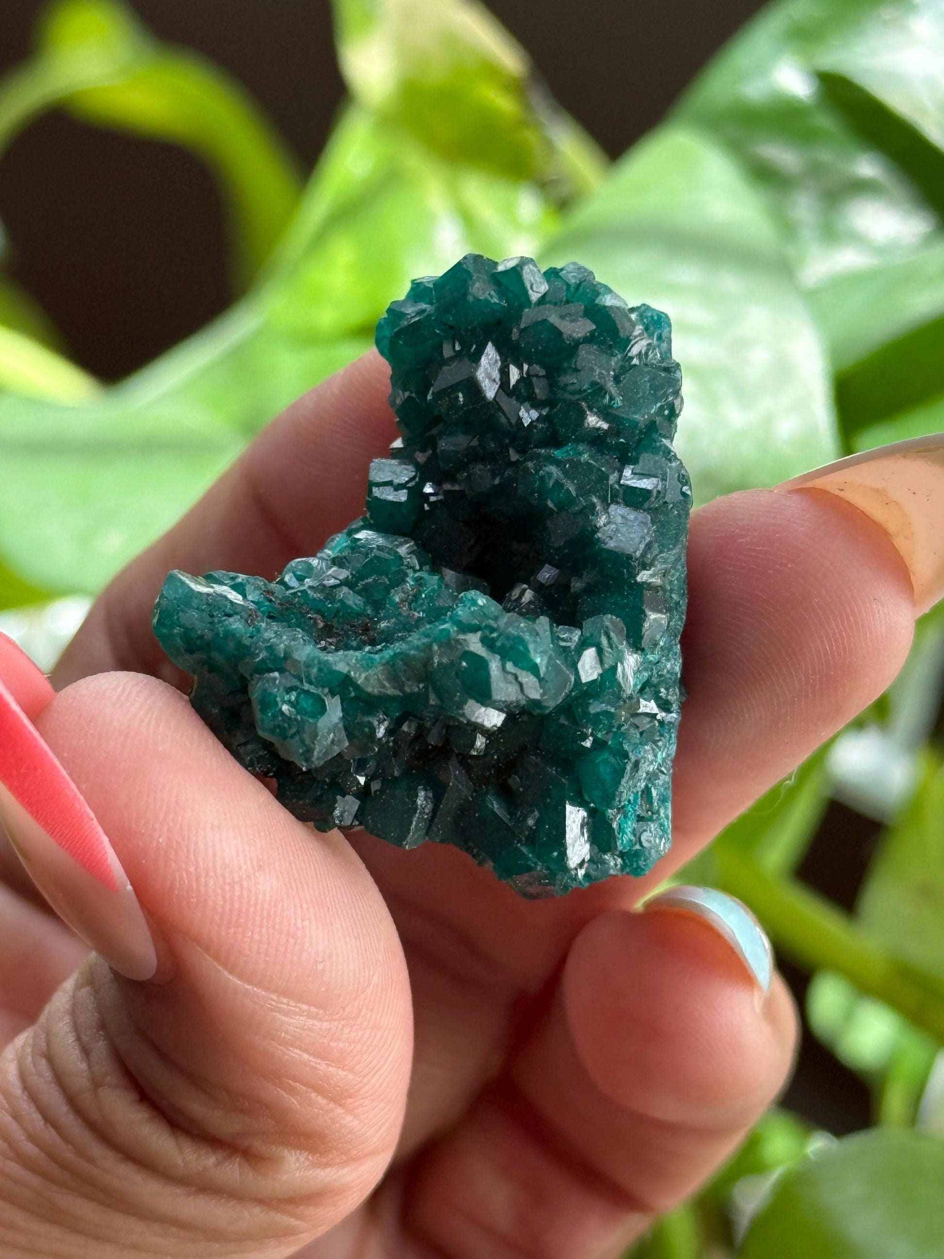 Dioptase, Natural Raw Dioptase, Dioptase from Republic of the Congo, Fossils and Minerals,