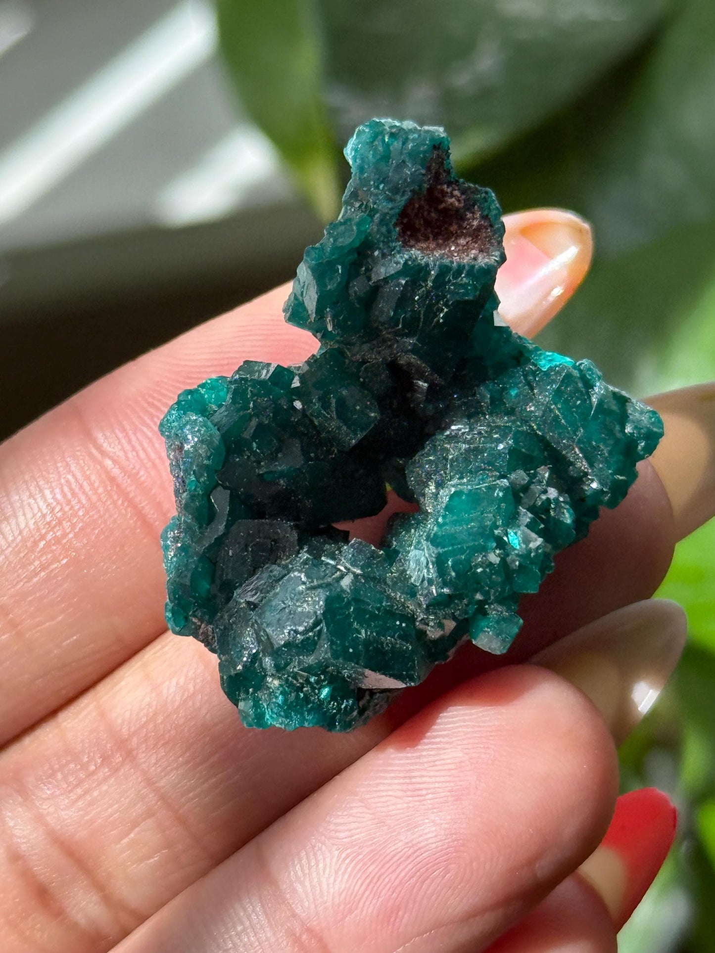 Dioptase, Natural Raw Dioptase, Dioptase from Republic of the Congo, Fossils and Minerals,