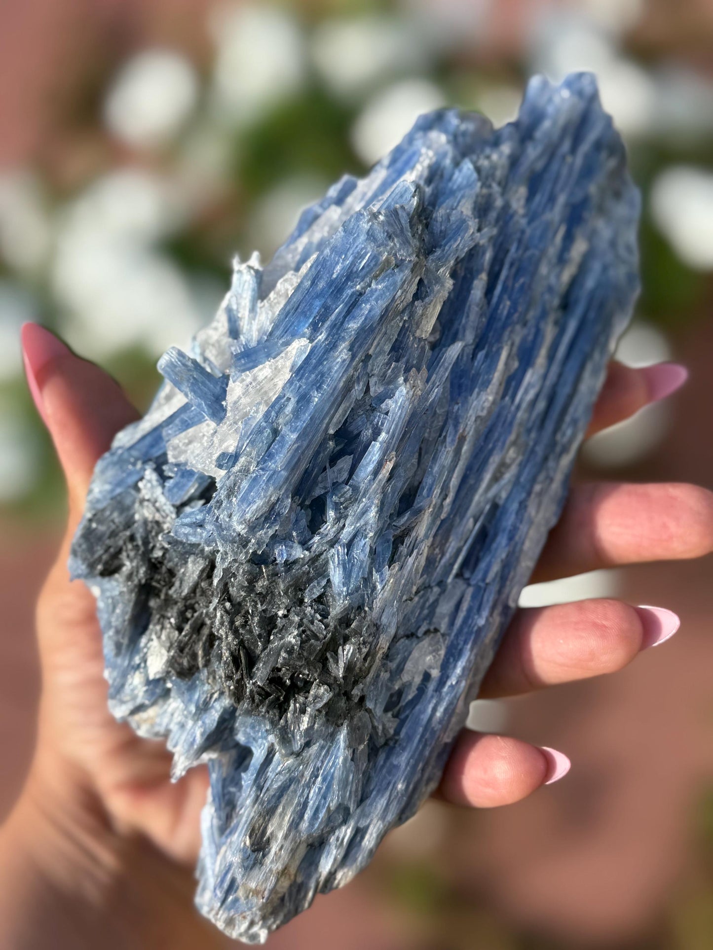 Brazilian Kyanite and Quartz Combo, Kyanite With Quartz, Kyanite, Raw Crystals, Raw Minerals, Fossils, Crystal Gifts,