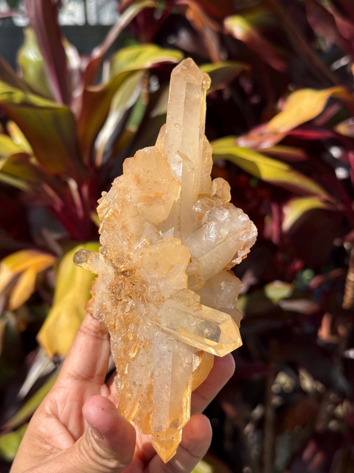 Tangerine Quartz Cluster, Tangerine Quartz From Brazil, Authentic Quartz, Natural Raw Quartz Cluster, Crystal Gifts, Medium