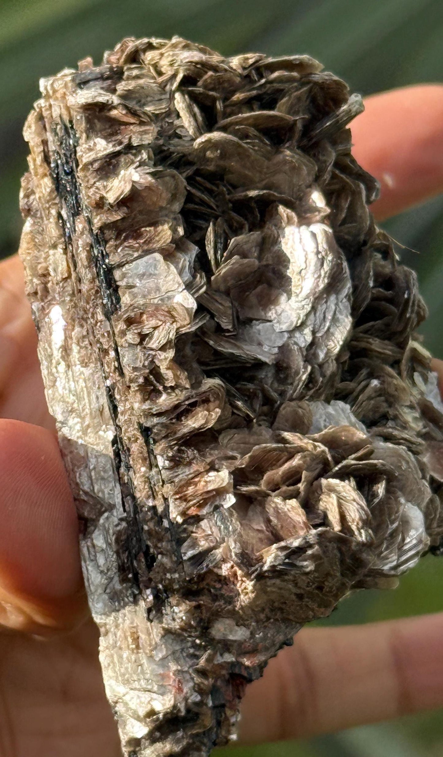 Black Tourmaline with Mica, Raw Black Tourmaline, Tourmaline mineral, Raw Crystal Specimen, Crystal Gifts, Home Decor