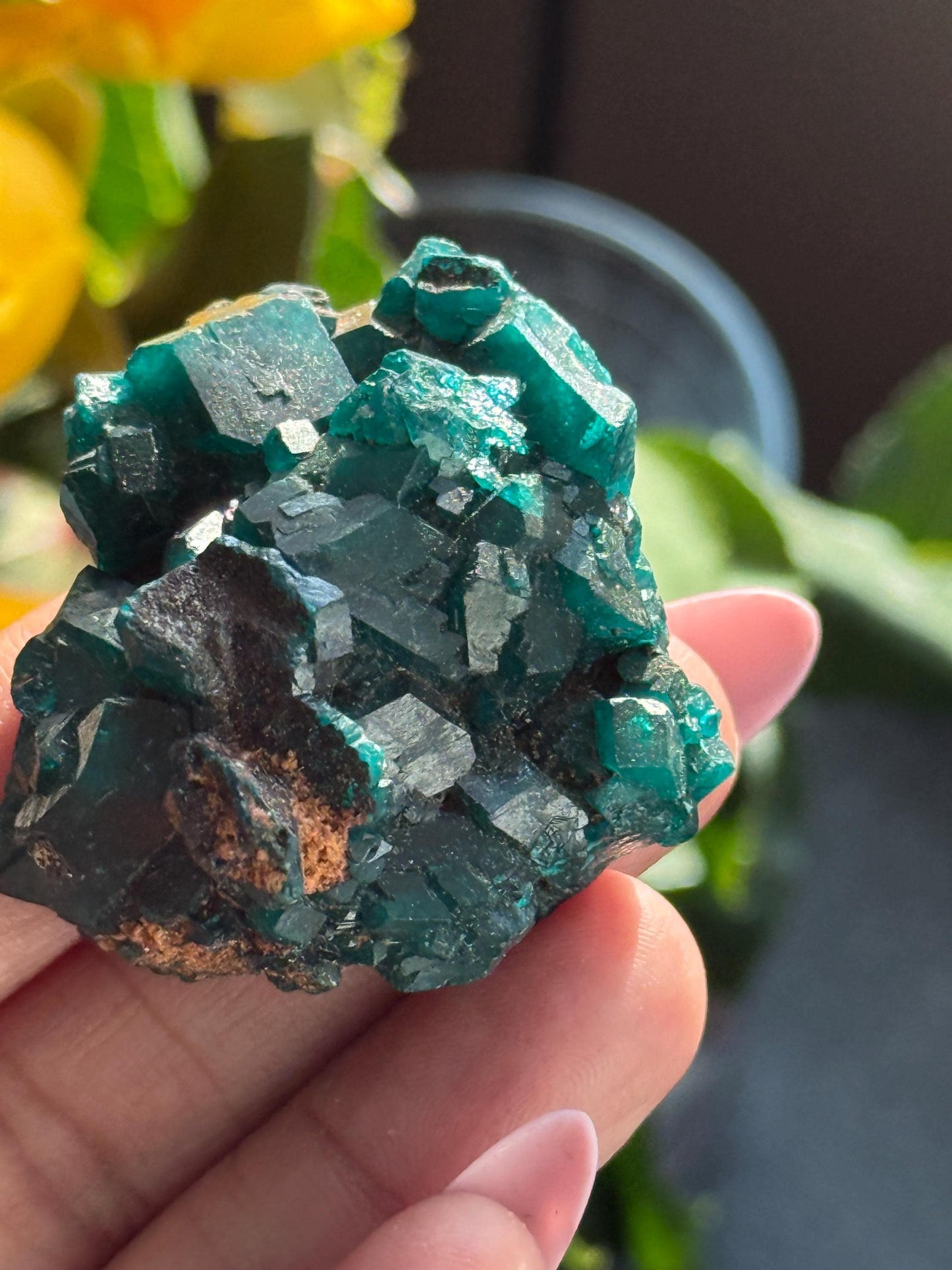 Dioptase, Natural Raw Dioptase, Dioptase from Republic of the Congo, Fossils and Minerals,