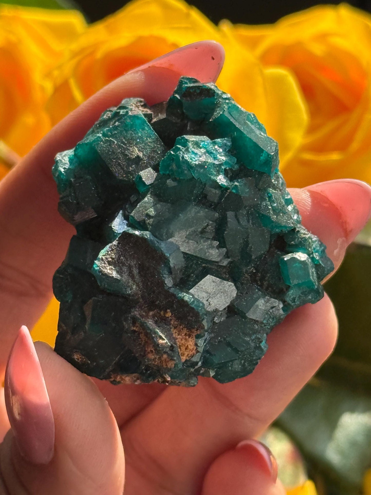 Dioptase, Natural Raw Dioptase, Dioptase from Republic of the Congo, Fossils and Minerals,