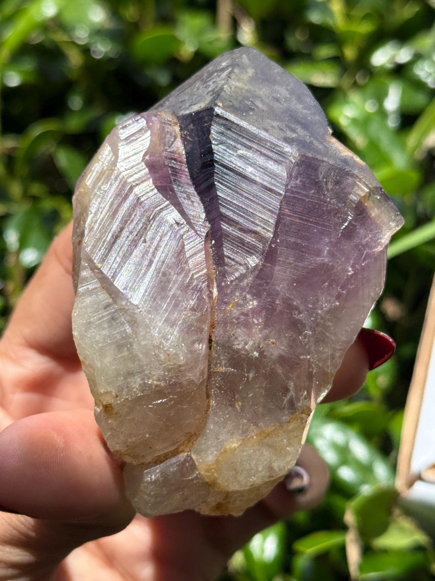 Congo Amethyst Box, Raw Congo Amethyst , Amethyst, Congo Amethyst Root, Crystal Lot, Crystal Wholesale