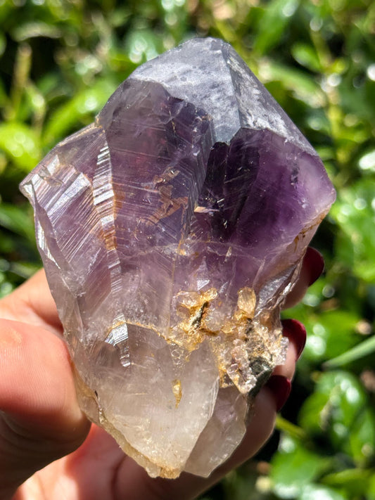 Congo Amethyst Box, Raw Congo Amethyst , Amethyst, Congo Amethyst Root, Crystal Lot, Crystal Wholesale