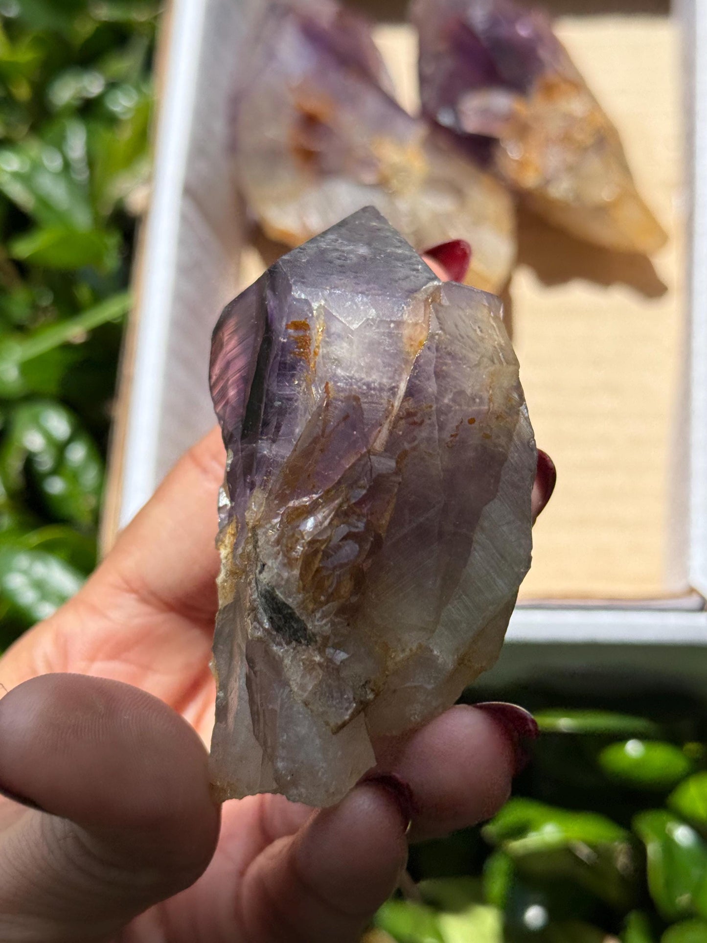 Congo Amethyst Box, Raw Congo Amethyst , Amethyst, Congo Amethyst Root, Crystal Lot, Crystal Wholesale