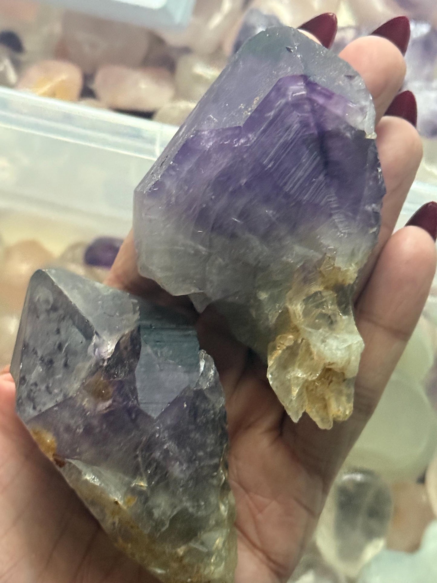Congo Amethyst Box, Raw Congo Amethyst , Amethyst, Congo Amethyst Root, Crystal Lot, Crystal Wholesale