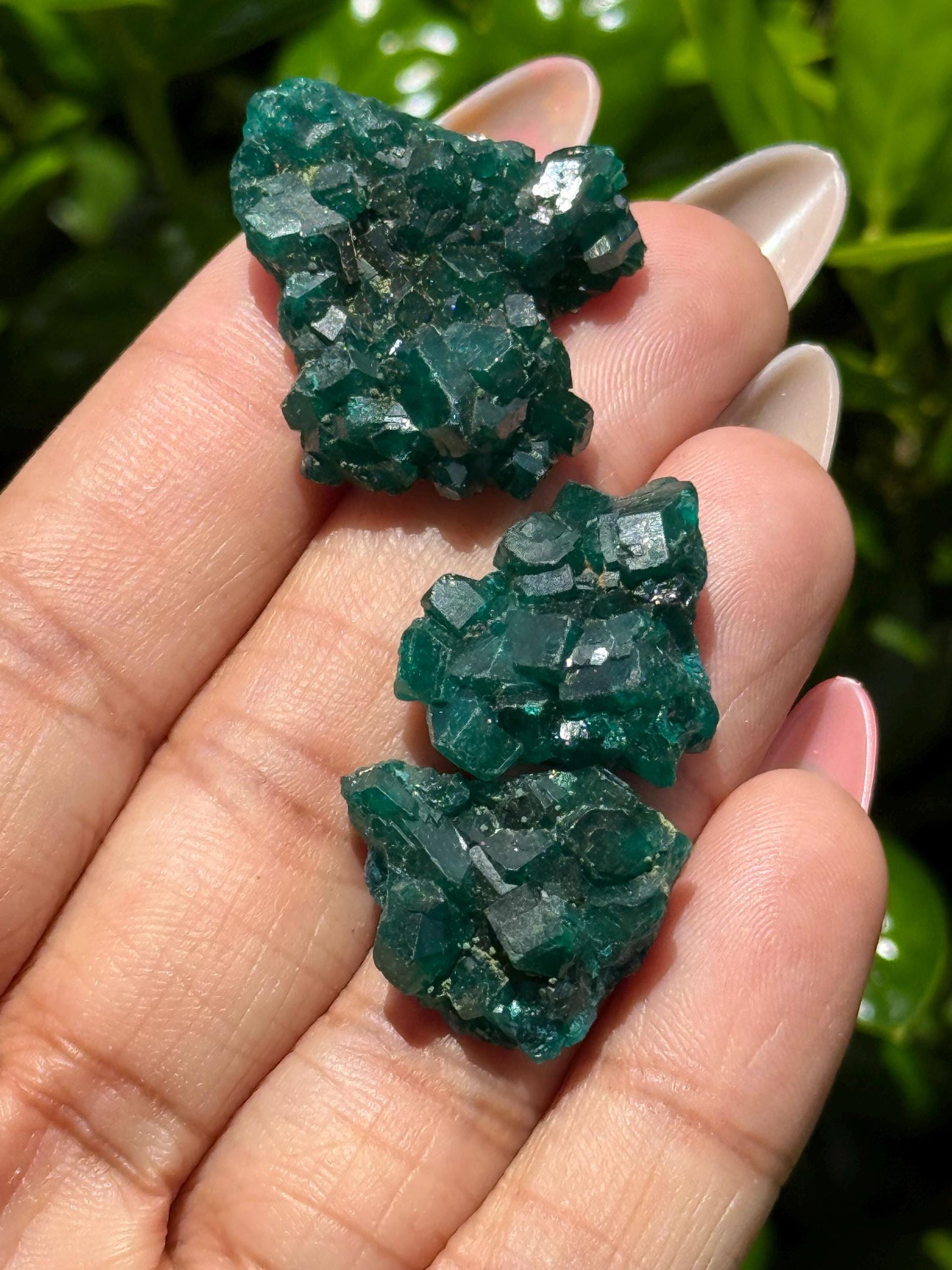 Dioptase Crystal Lot, Natural Raw Dioptase, Dioptase from Republic of the Congo, Crystal Wholesale