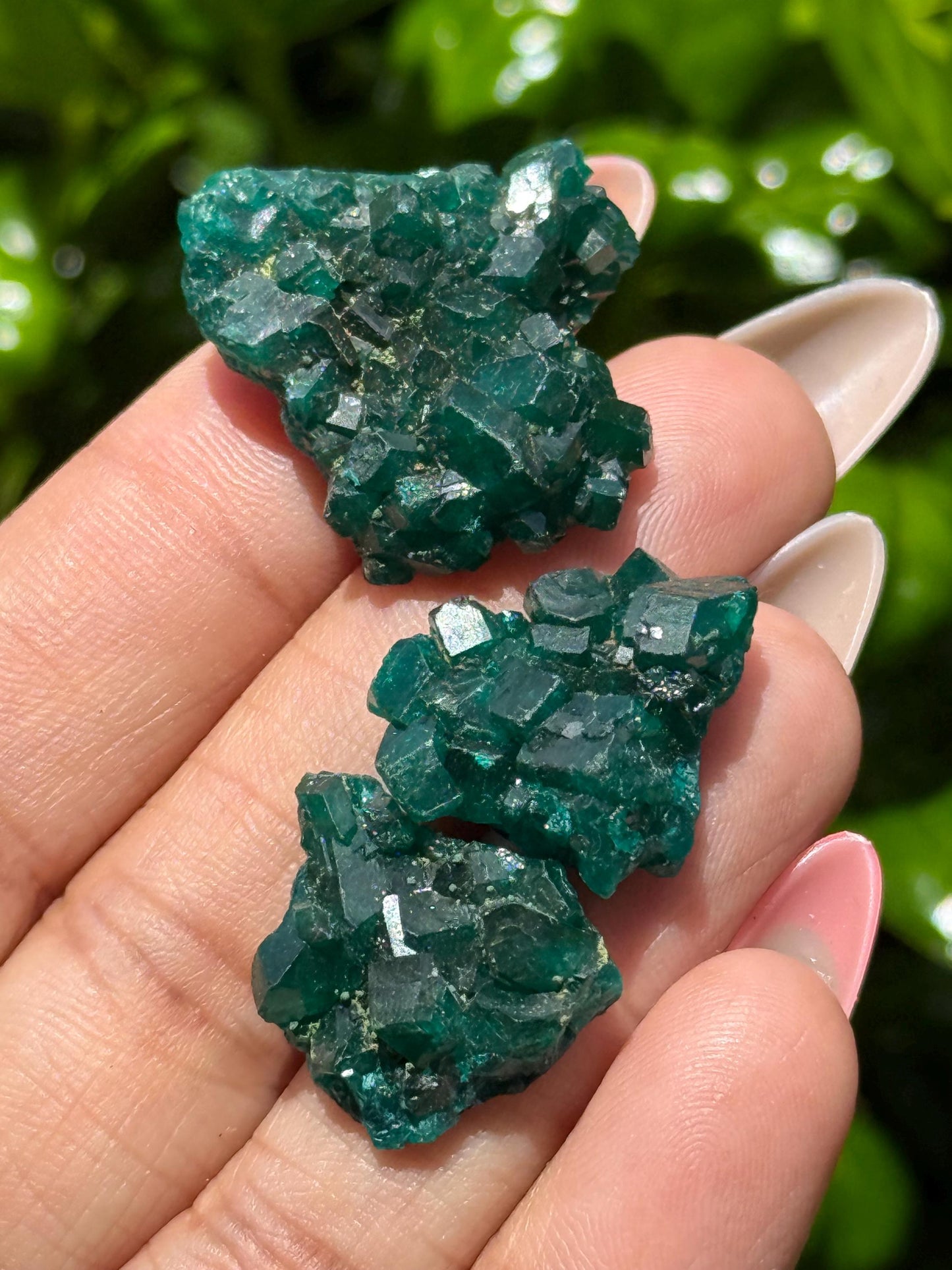Dioptase Crystal Lot, Natural Raw Dioptase, Dioptase from Republic of the Congo, Crystal Wholesale