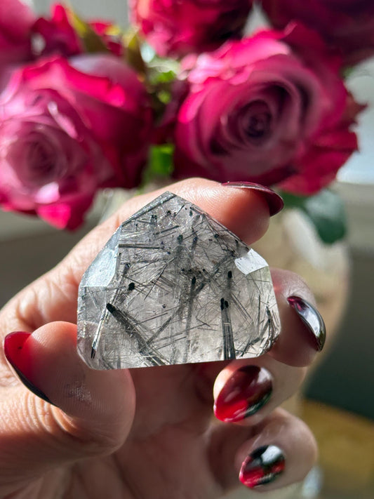 Silver Rutilated Quartz with Lodolite Quartz, Garden Quartz