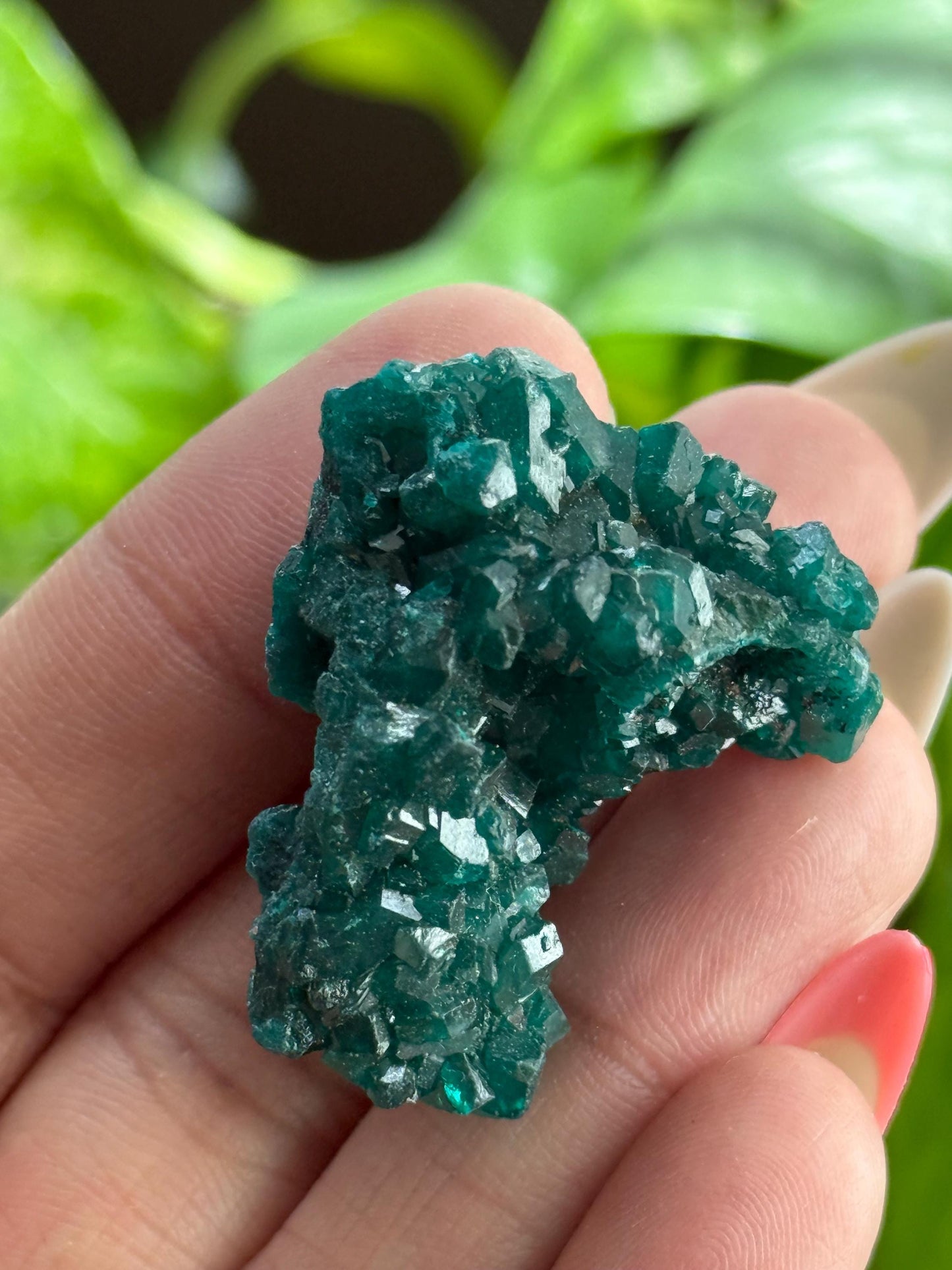 Dioptase, Natural Raw Dioptase, Dioptase from Republic of the Congo, Fossils and Minerals,