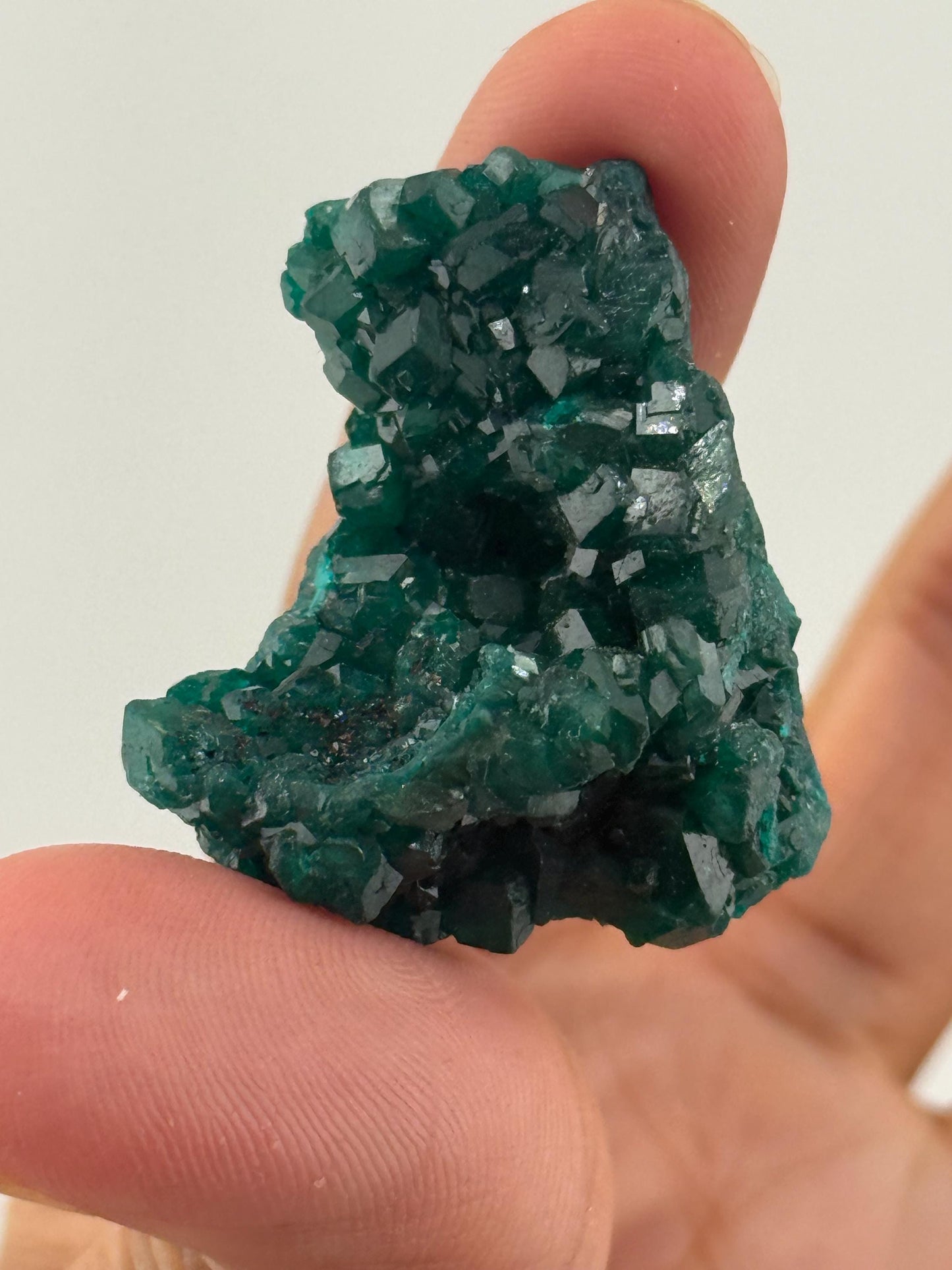 Dioptase, Natural Raw Dioptase, Dioptase from Republic of the Congo, Fossils and Minerals,