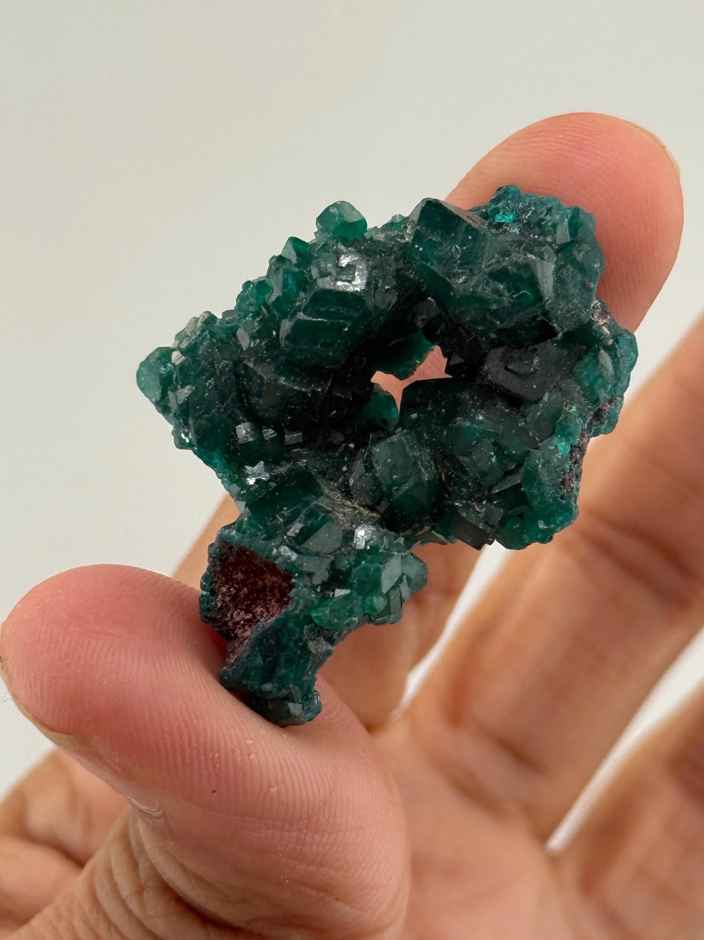 Dioptase, Natural Raw Dioptase, Dioptase from Republic of the Congo, Fossils and Minerals,