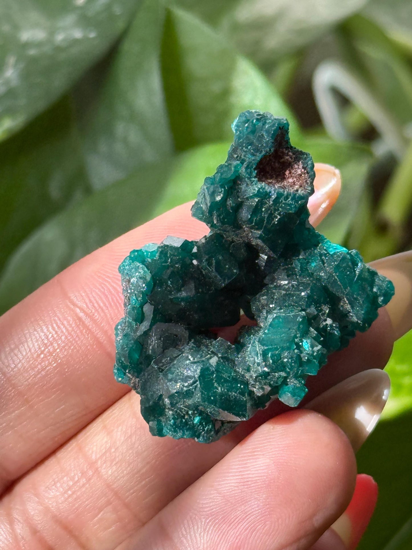 Dioptase, Natural Raw Dioptase, Dioptase from Republic of the Congo, Fossils and Minerals,