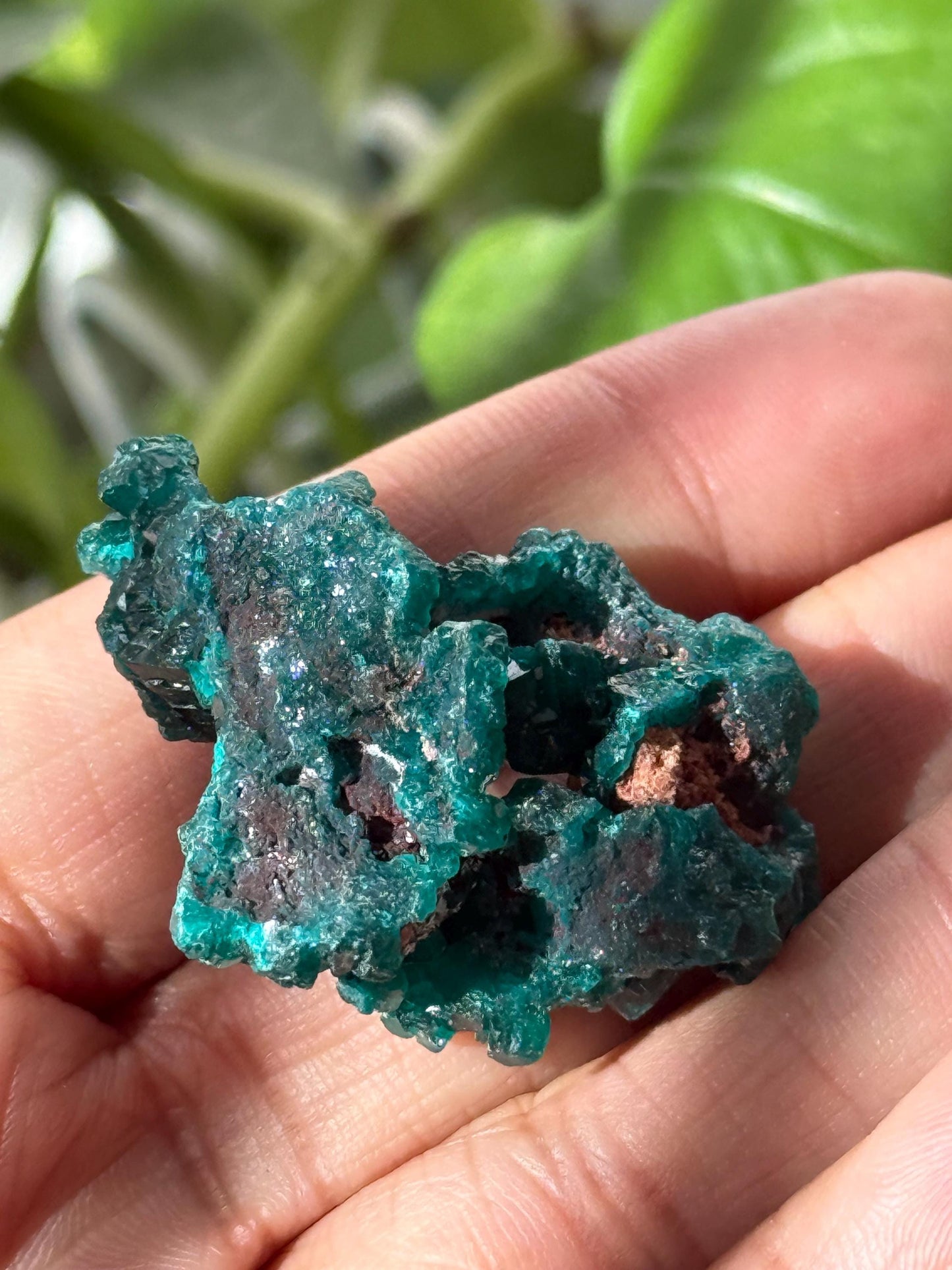 Dioptase, Natural Raw Dioptase, Dioptase from Republic of the Congo, Fossils and Minerals,