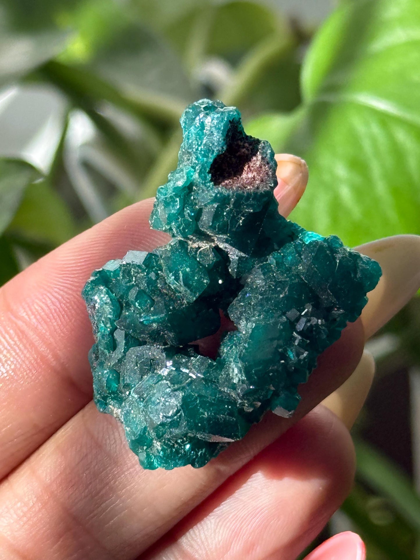 Dioptase, Natural Raw Dioptase, Dioptase from Republic of the Congo, Fossils and Minerals,