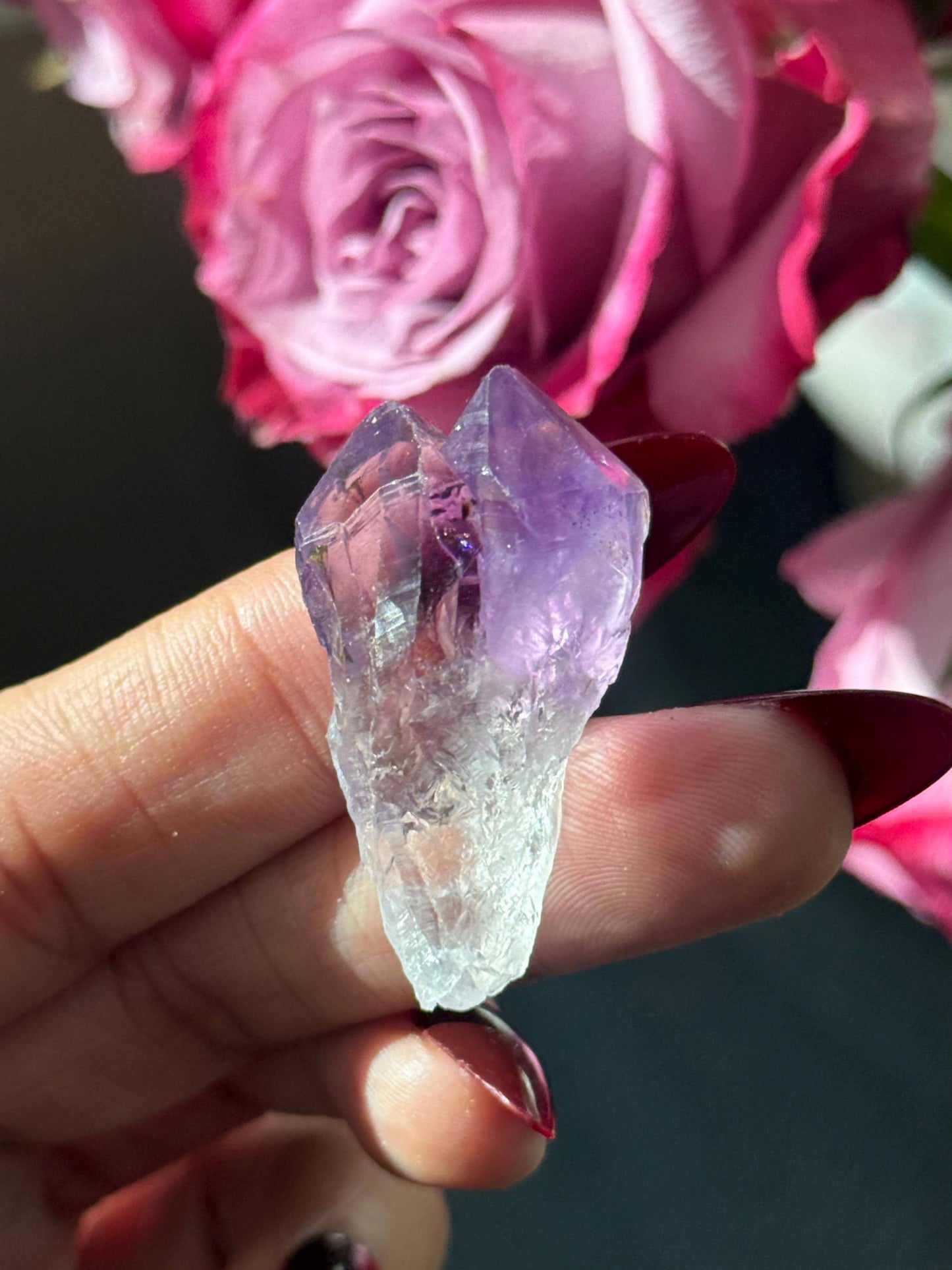 Adorable Twin Amethyst Roots, Amethyst Dragons Tooth, Raw Amethyst, Crystals for wire wrapping, Crystal Jewelry, Crystal Wholesale