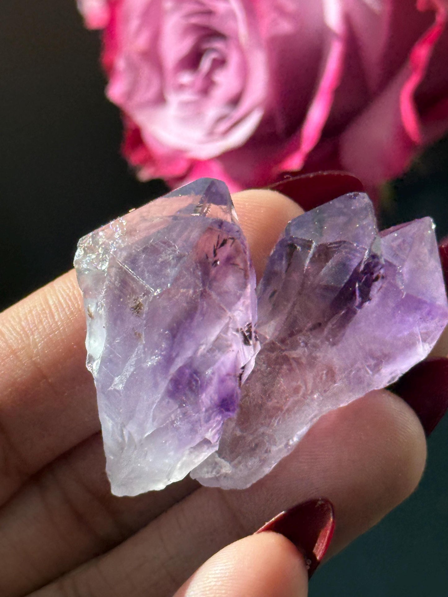 Adorable Twin Amethyst Roots, Amethyst Dragons Tooth, Raw Amethyst, Crystals for wire wrapping, Crystal Jewelry, Crystal Wholesale