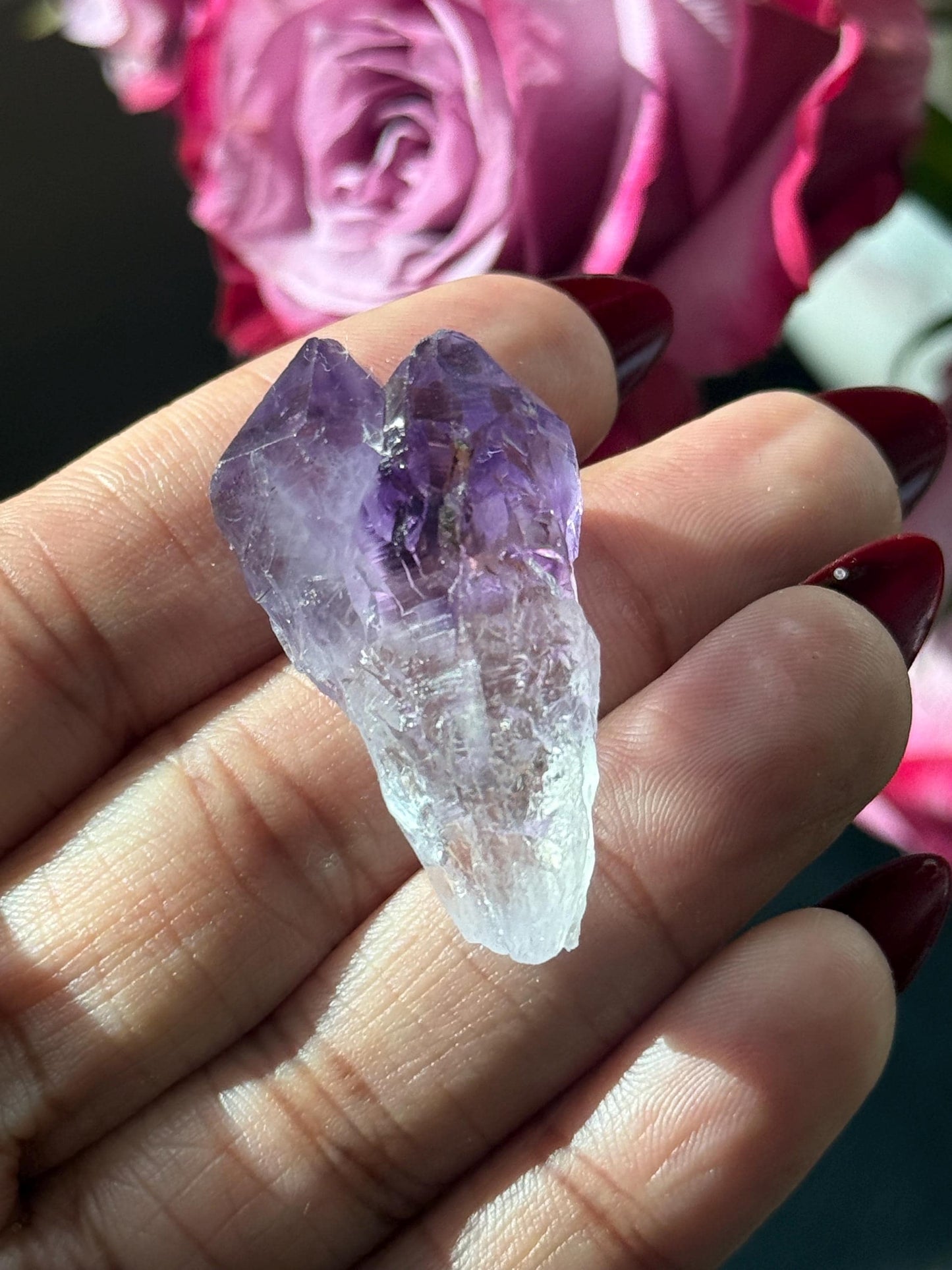 Adorable Twin Amethyst Roots, Amethyst Dragons Tooth, Raw Amethyst, Crystals for wire wrapping, Crystal Jewelry, Crystal Wholesale