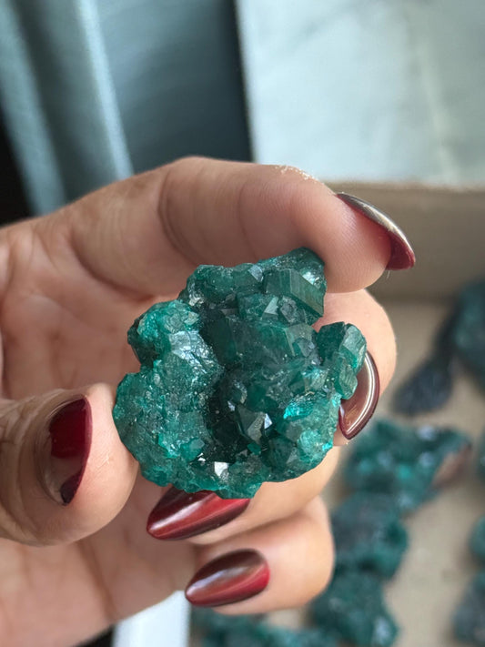 Dioptase, Natural Raw Dioptase, Dioptase from Republic of the Congo, Fossils and Minerals, SMALL