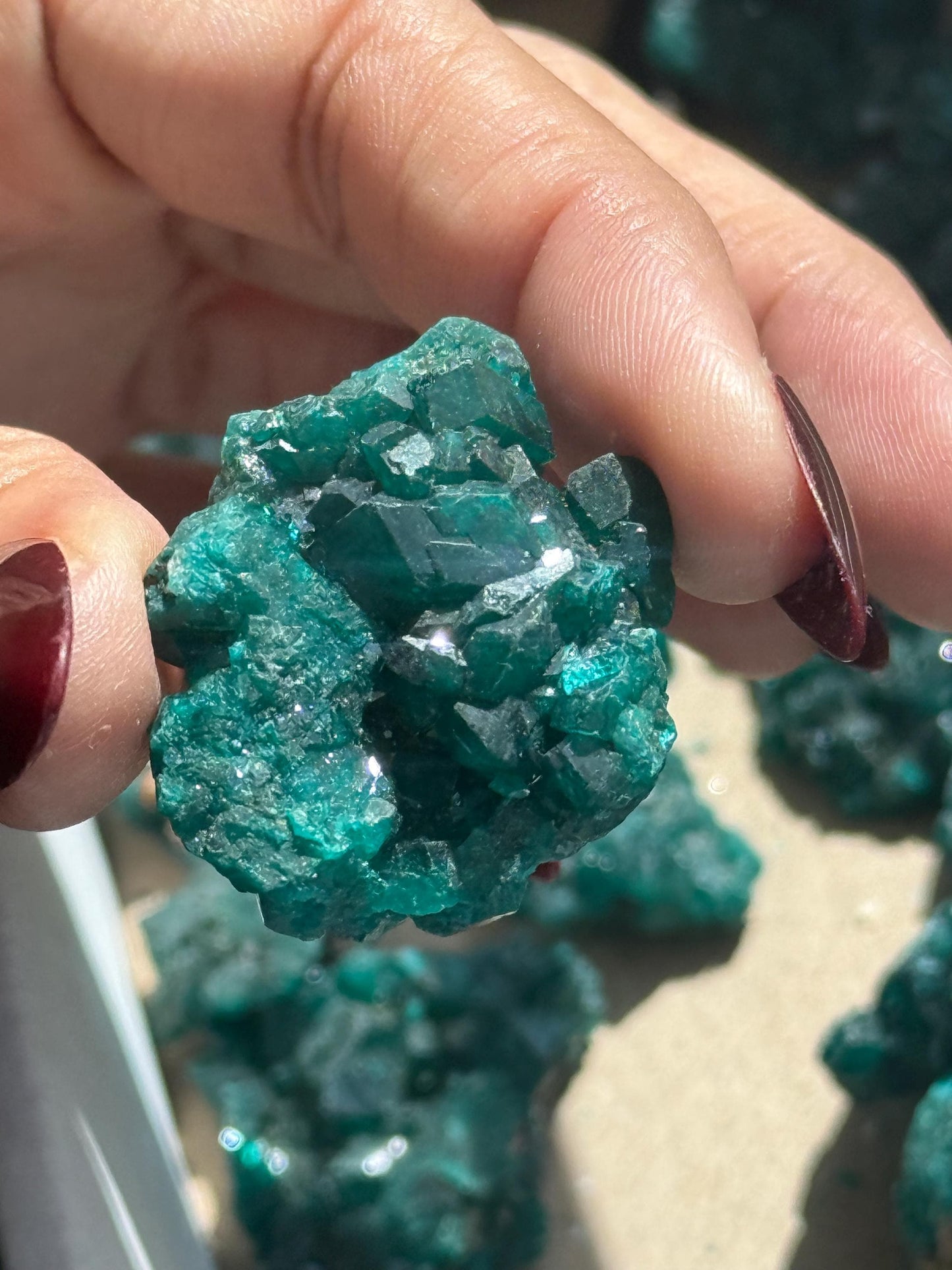 Dioptase, Natural Raw Dioptase, Dioptase from Republic of the Congo, Fossils and Minerals, SMALL