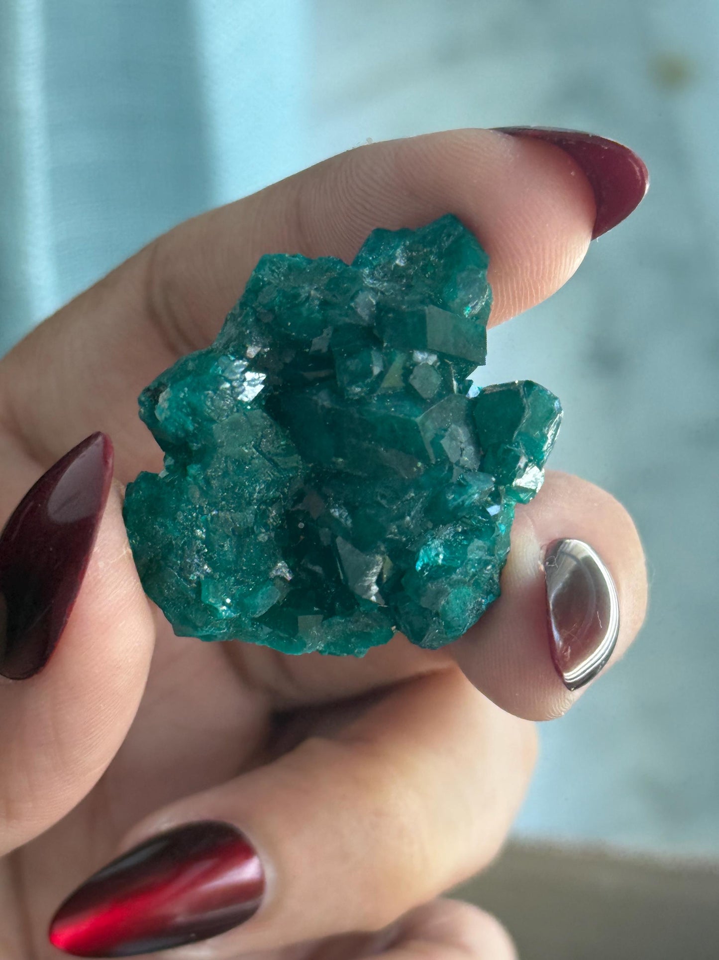 Dioptase, Natural Raw Dioptase, Dioptase from Republic of the Congo, Fossils and Minerals, SMALL