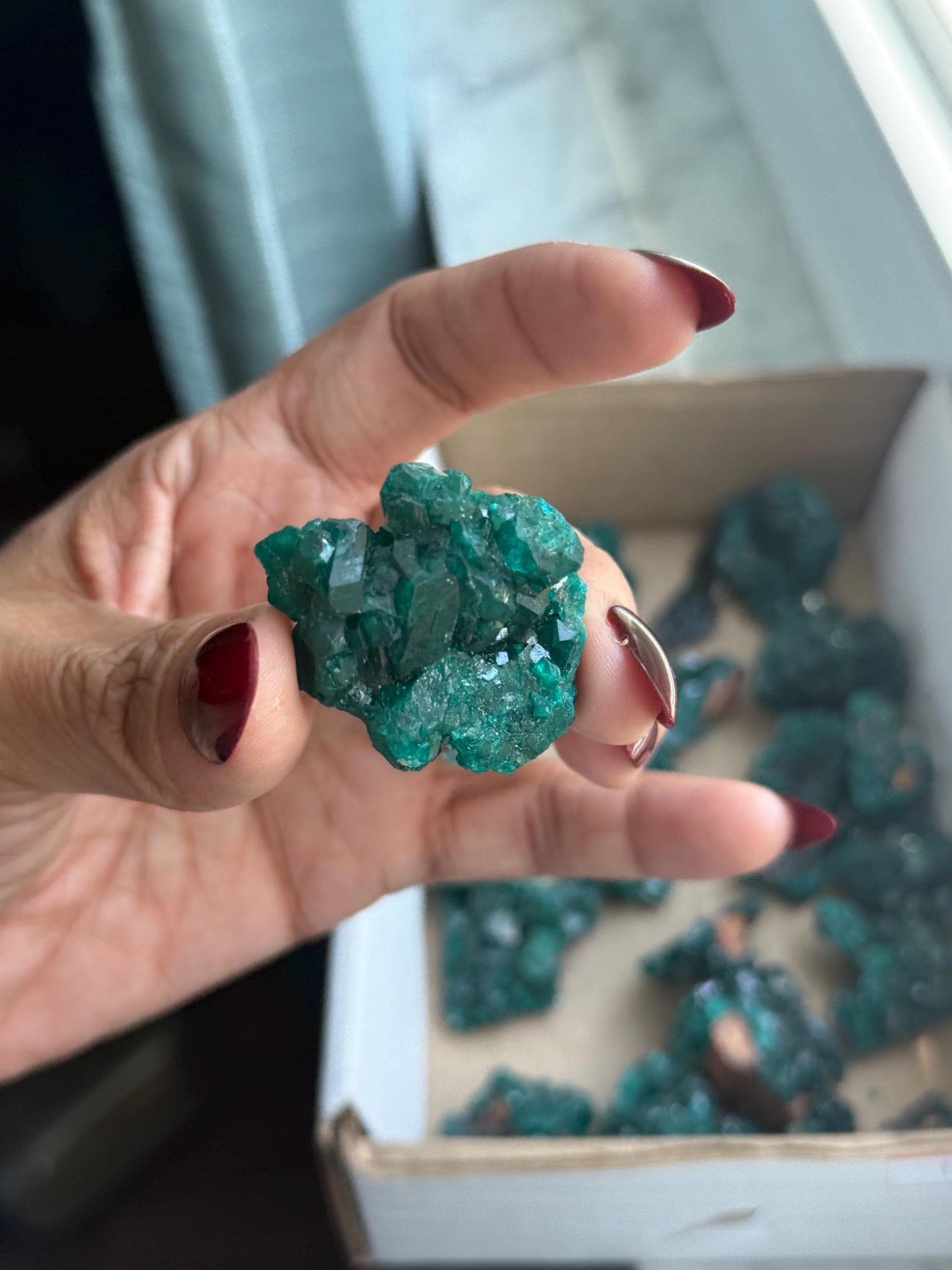 Dioptase, Natural Raw Dioptase, Dioptase from Republic of the Congo, Fossils and Minerals, SMALL