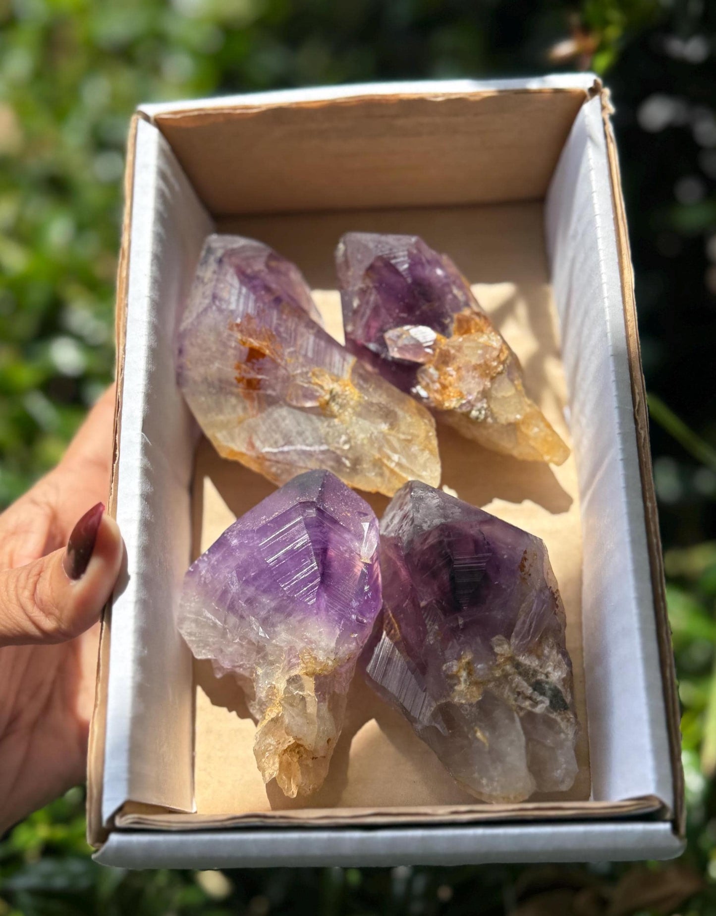 Congo Amethyst Box, Raw Congo Amethyst , Amethyst, Congo Amethyst Root, Crystal Lot, Crystal Wholesale
