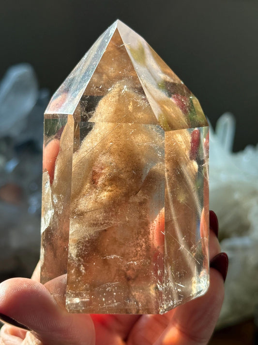 Smoky Quartz With Lodolite Inclusions, High Clarity Garden Quartz, Rutile Quartz, Scenic Quartz Stone, Polished Garden Quartz, Crystal Gifts