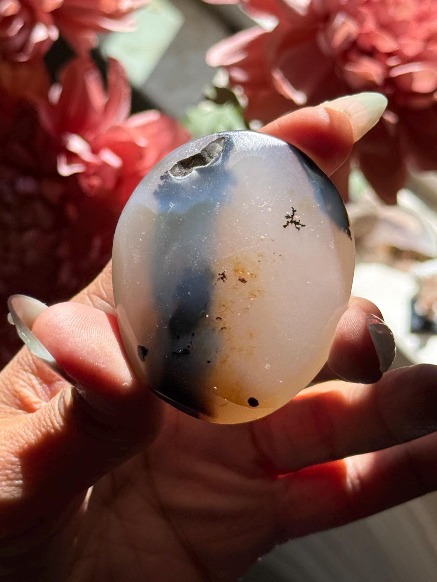 Dendritic Agate Palm stone, Dendrite, Dendritic Agate, Merlinite, Wizard Stone, Stone of Magic, Crystal Gifts, Metaphysical Gifts,