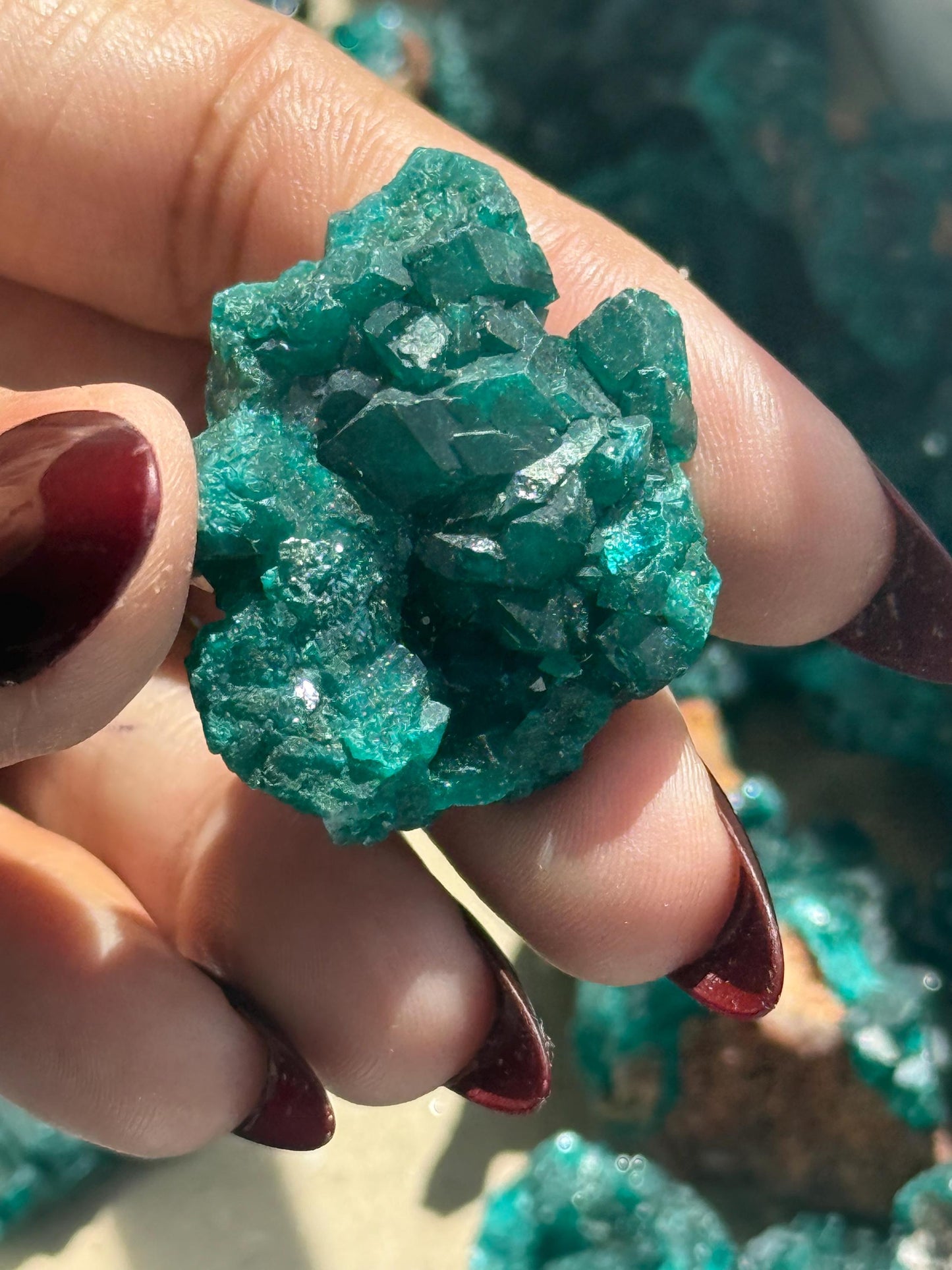 Dioptase, Natural Raw Dioptase, Dioptase from Republic of the Congo, Fossils and Minerals, SMALL