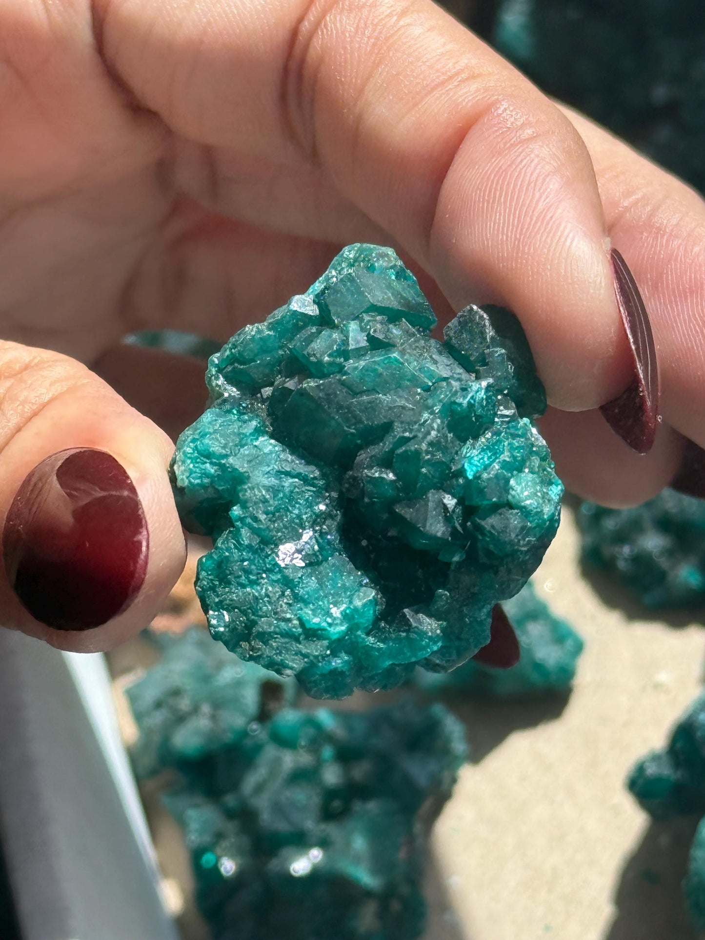 Dioptase, Natural Raw Dioptase, Dioptase from Republic of the Congo, Fossils and Minerals, SMALL