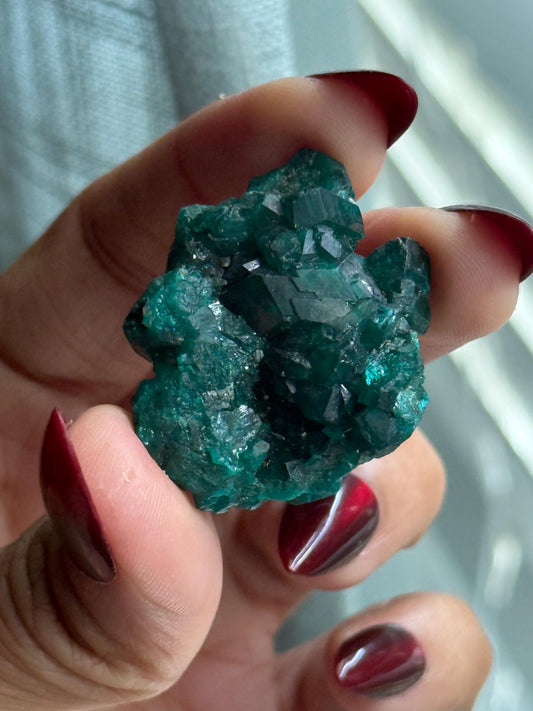 Dioptase, Natural Raw Dioptase, Dioptase from Republic of the Congo, Fossils and Minerals, SMALL
