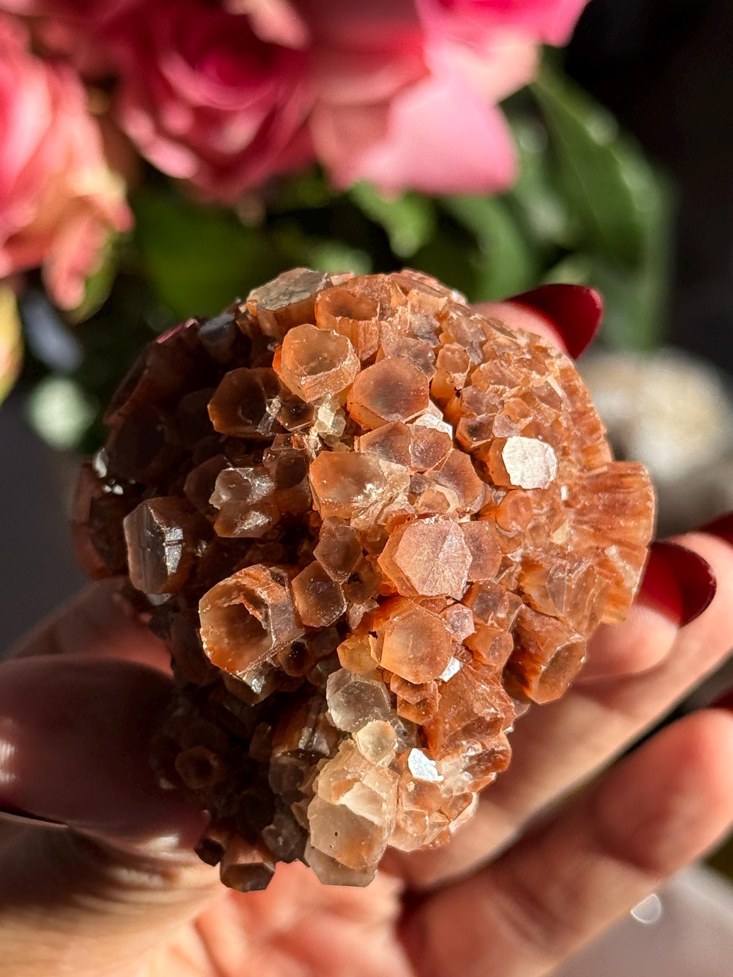 Aragonite Cluster, Raw Aragonite Cluster From Morocco, Aragonite, Fossils, Crystal Gifts