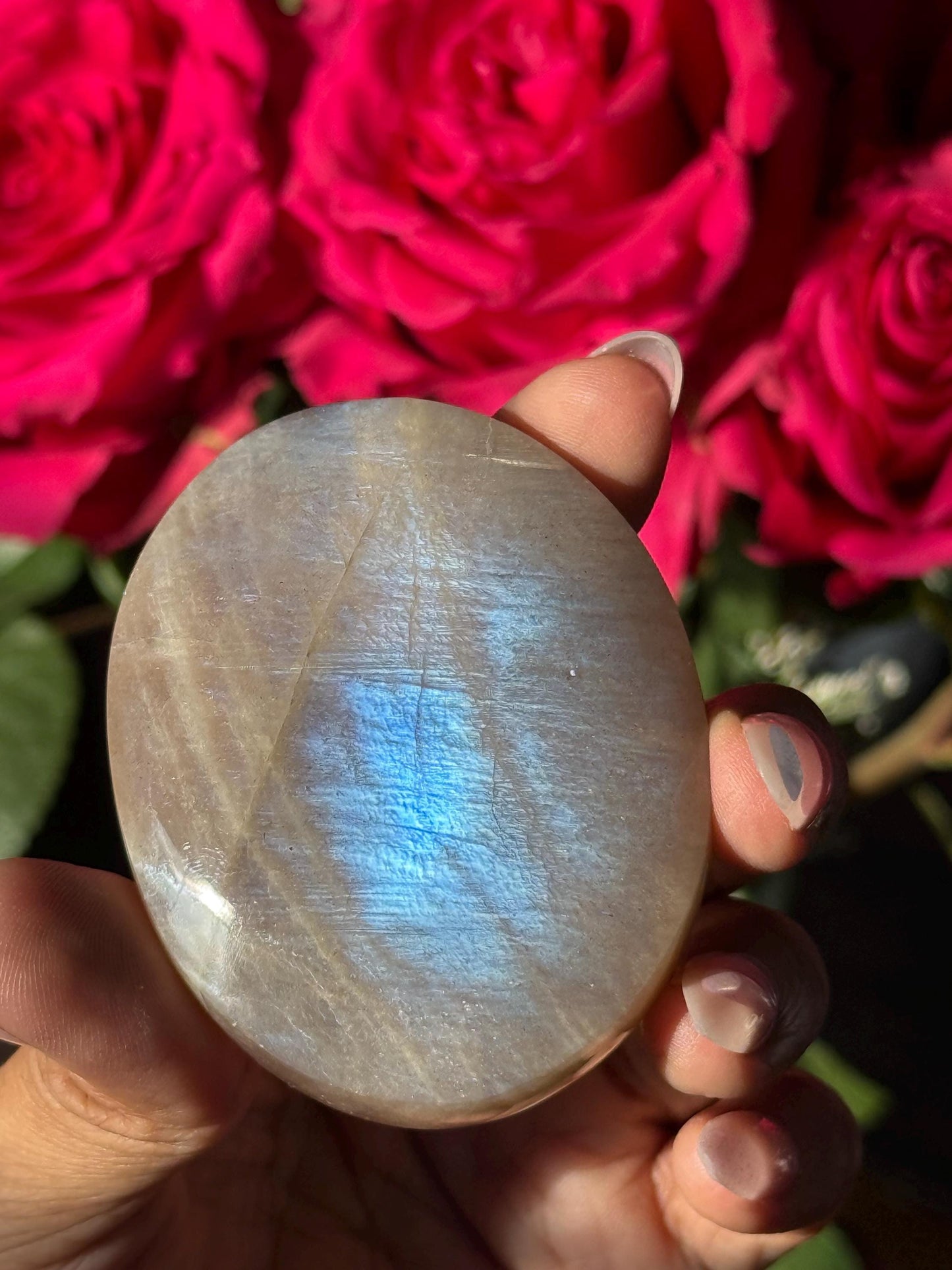 Super Flashy Blue Moonstone, Moonstone, Blue Flash Moonstone, High Grade Palm Stone