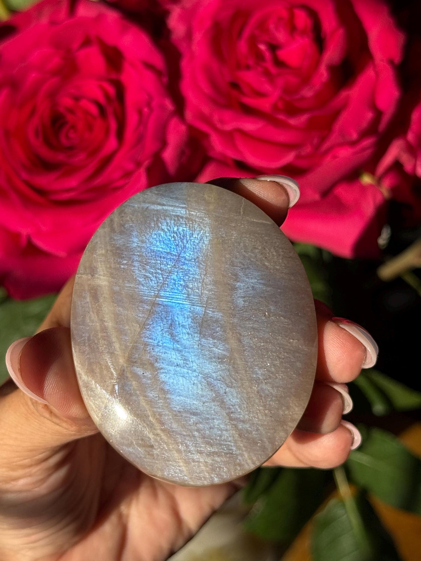 Super Flashy Blue Moonstone, Moonstone, Blue Flash Moonstone, High Grade Palm Stone