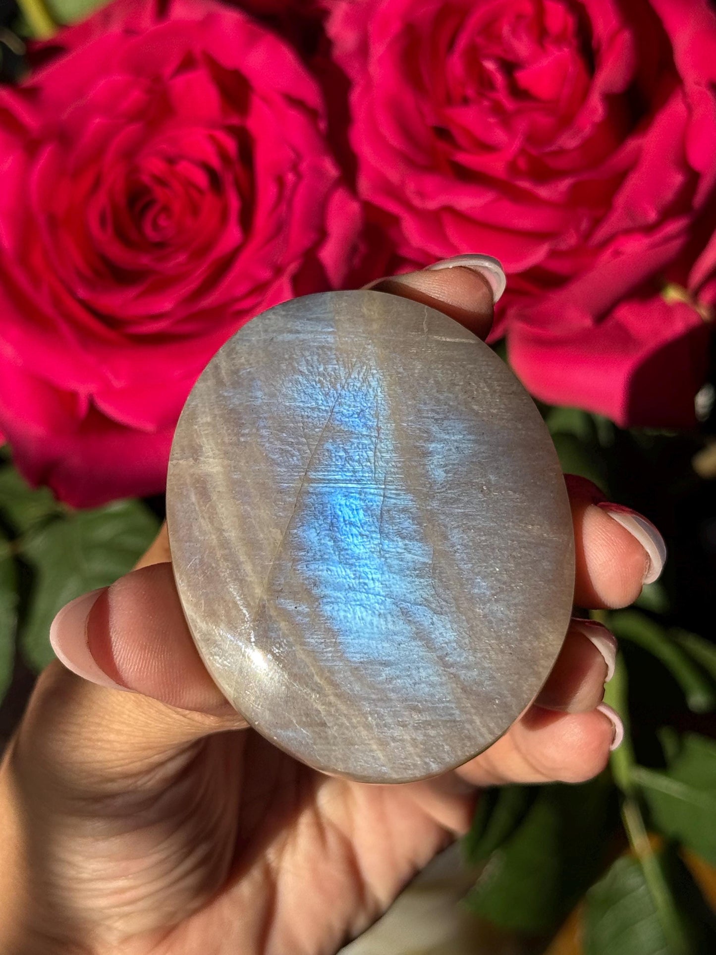 Super Flashy Blue Moonstone, Moonstone, Blue Flash Moonstone, High Grade Palm Stone