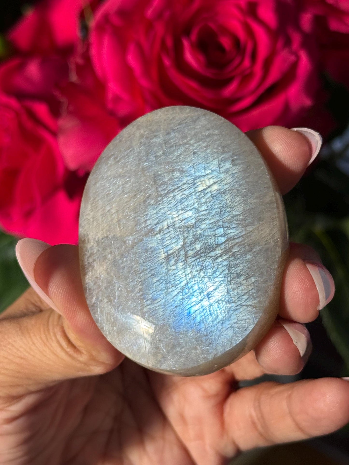 Super Flashy Blue Moonstone, Moonstone, Blue Flash Moonstone, High Grade Palm Stone