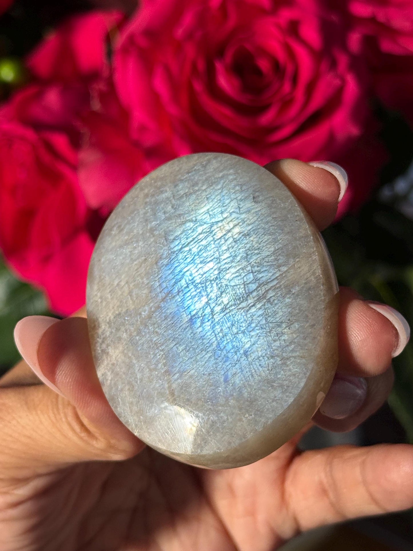 Super Flashy Blue Moonstone, Moonstone, Blue Flash Moonstone, High Grade Palm Stone