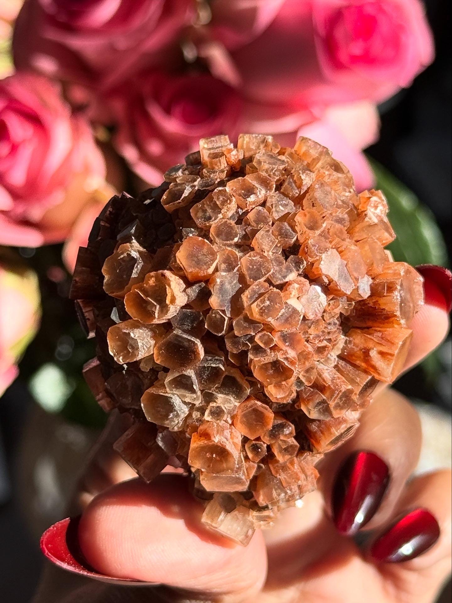 Aragonite Cluster, Raw Aragonite Cluster From Morocco, Aragonite, Fossils, Crystal Gifts